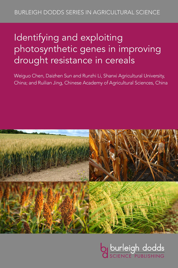Cover image for Identifying and exploiting photosynthetic genes in improving drought resistance in cereals, isbn: 9781835450314