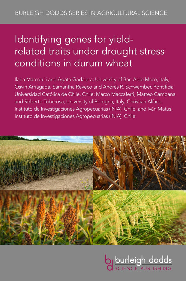 Cover image for Identifying genes for yield-related traits under drought stress conditions in durum wheat, isbn: 9781835450321