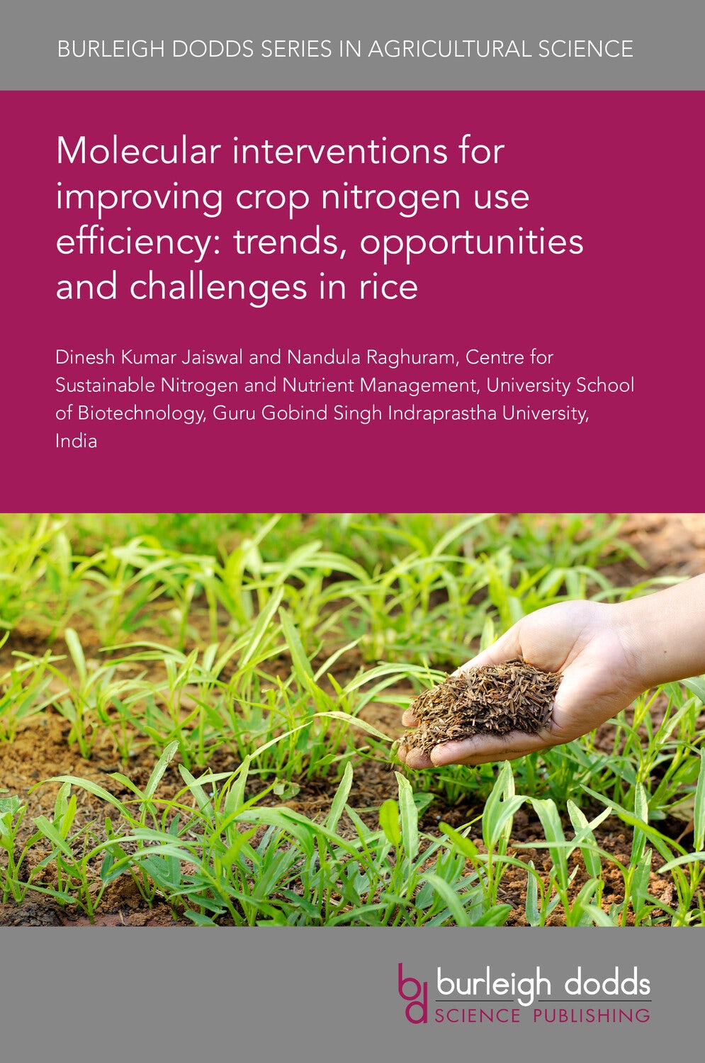 Book cover image for Molecular interventions for improving crop nitrogen use efficiency: trends, opportunities and challenges in rice ISBN: 9781835450895