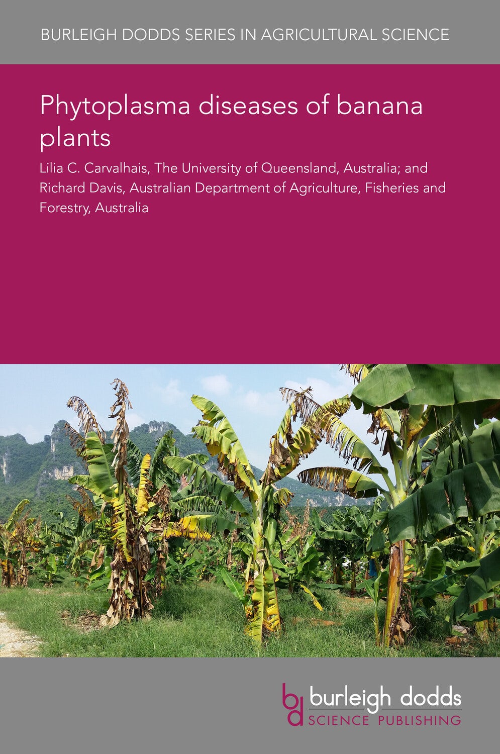 Book cover image for Phytoplasma diseases of banana plants ISBN: 9781835451106