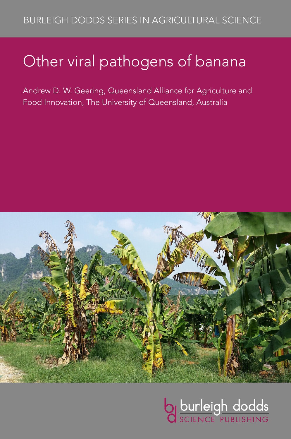 Book cover image for Other viral pathogens of banana ISBN: 9781835451137