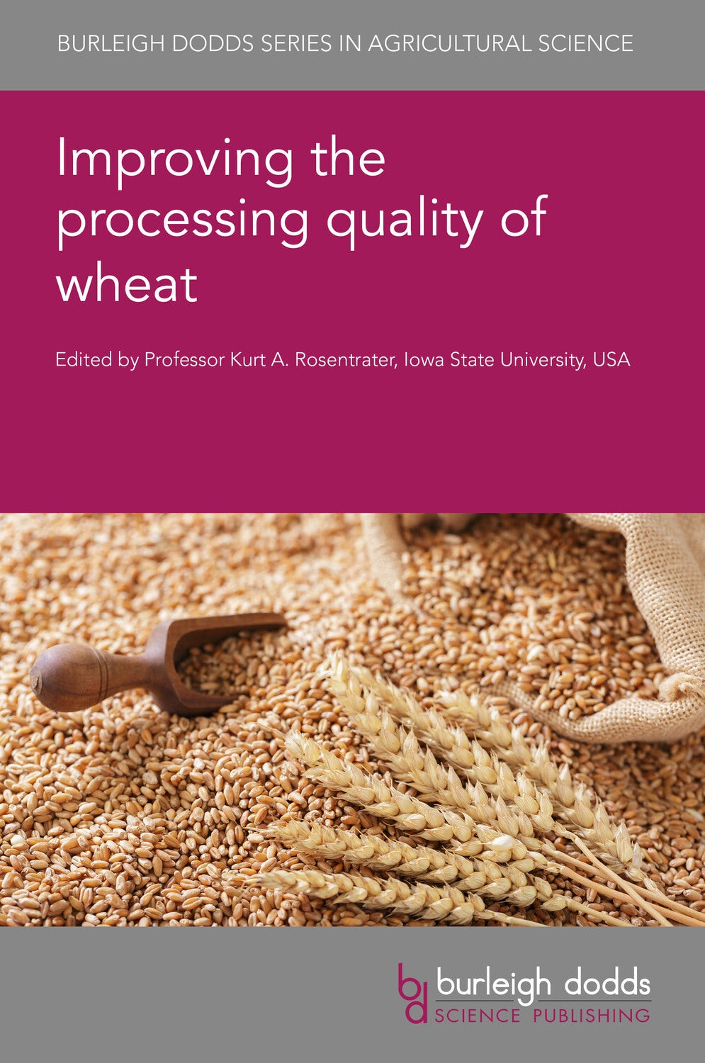 Book cover image for Improving the processing quality of wheat ISBN: 9781835453513