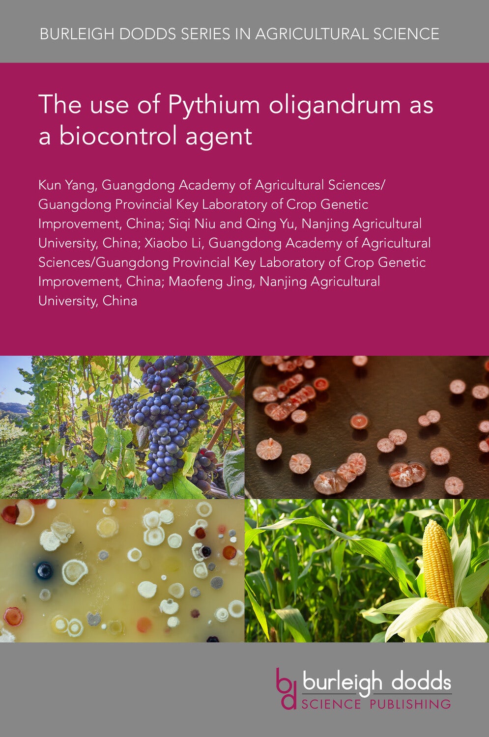 Book cover image for The use of Pythium oligandrum as a biocontrol agent ISBN: 9781835454589