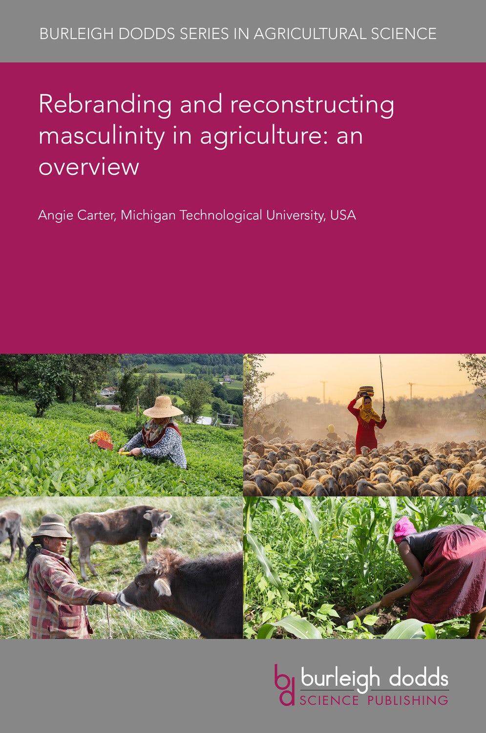 Book cover image for Rebranding and reconstructing masculinity in agriculture: an overview ISBN: 9781835454787