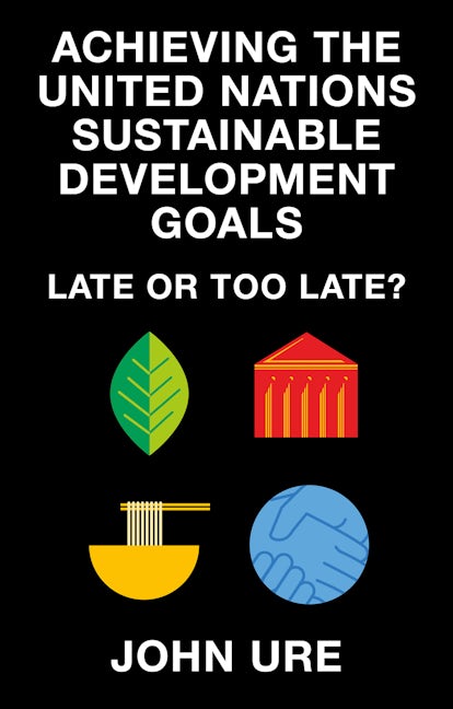 Book cover image for Achieving the United Nations Sustainable Development Goals ISBN: 9781835494073