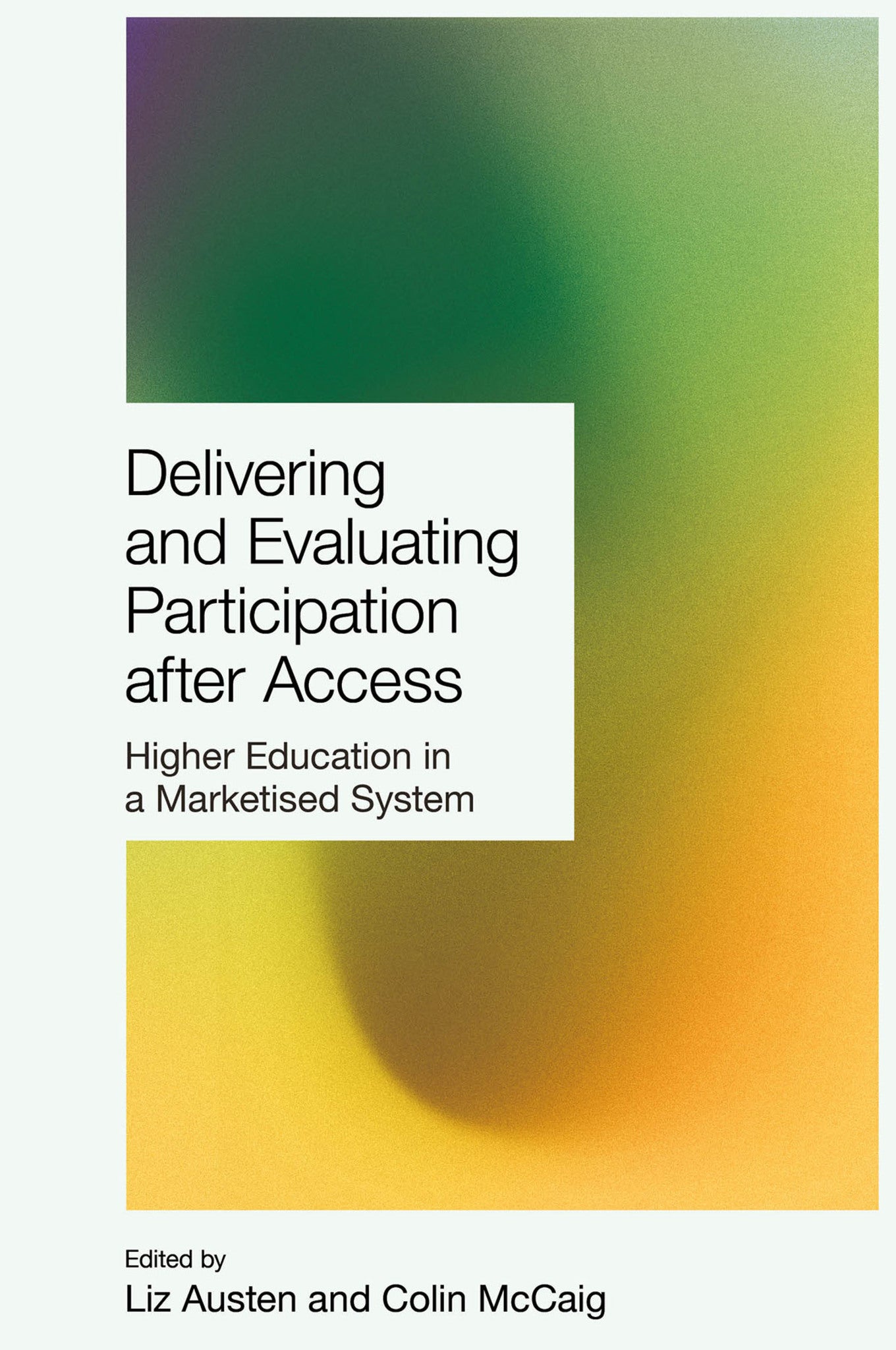Cover image for Delivering and Evaluating Participation after Access ISBN 9781835499559