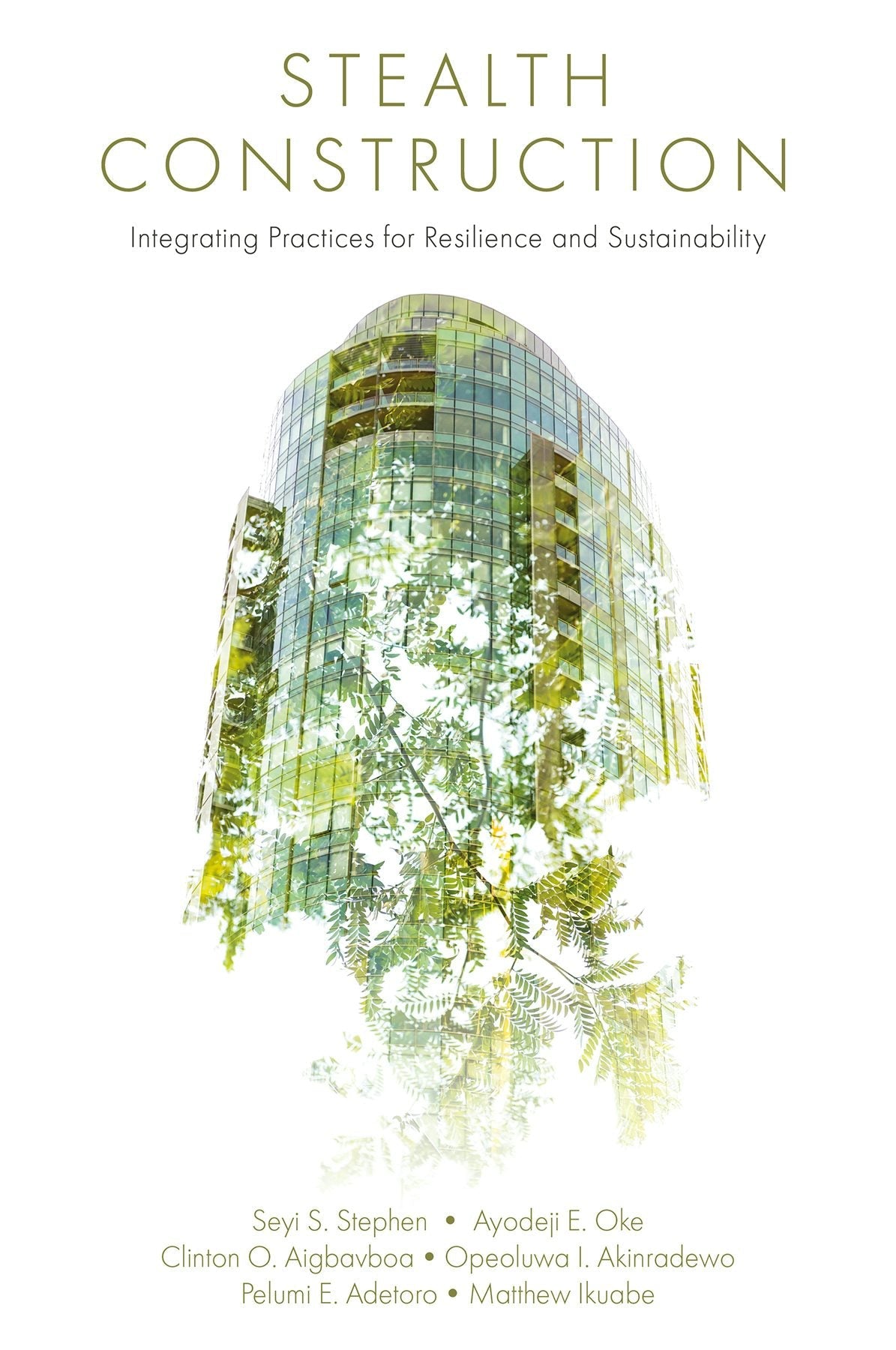 Book cover image for Stealth Construction ISBN: 9781836081838