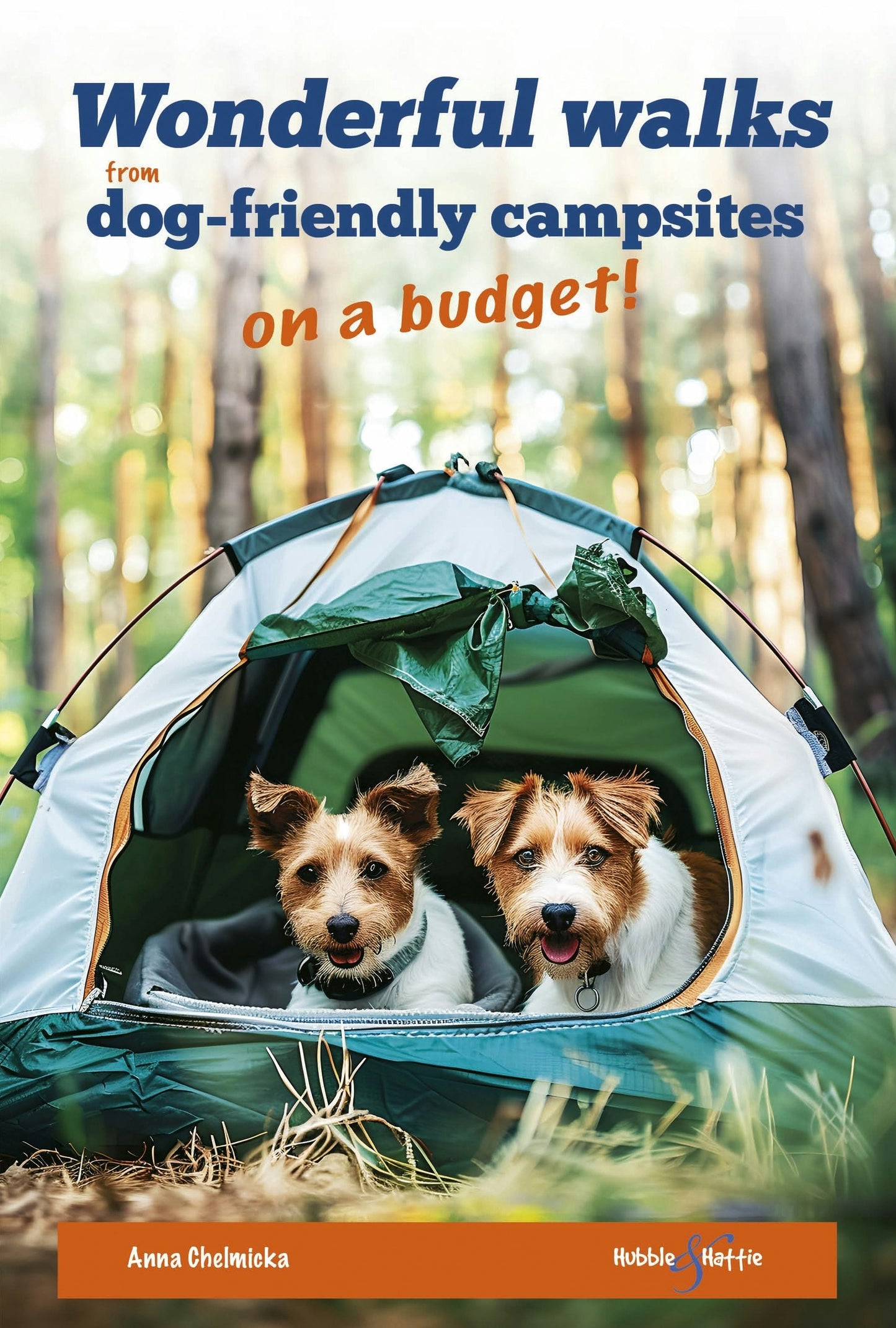 Book cover image for Wonderful Walks from Dog-Friendly Campsites on a Budget ISBN: 9781836440567