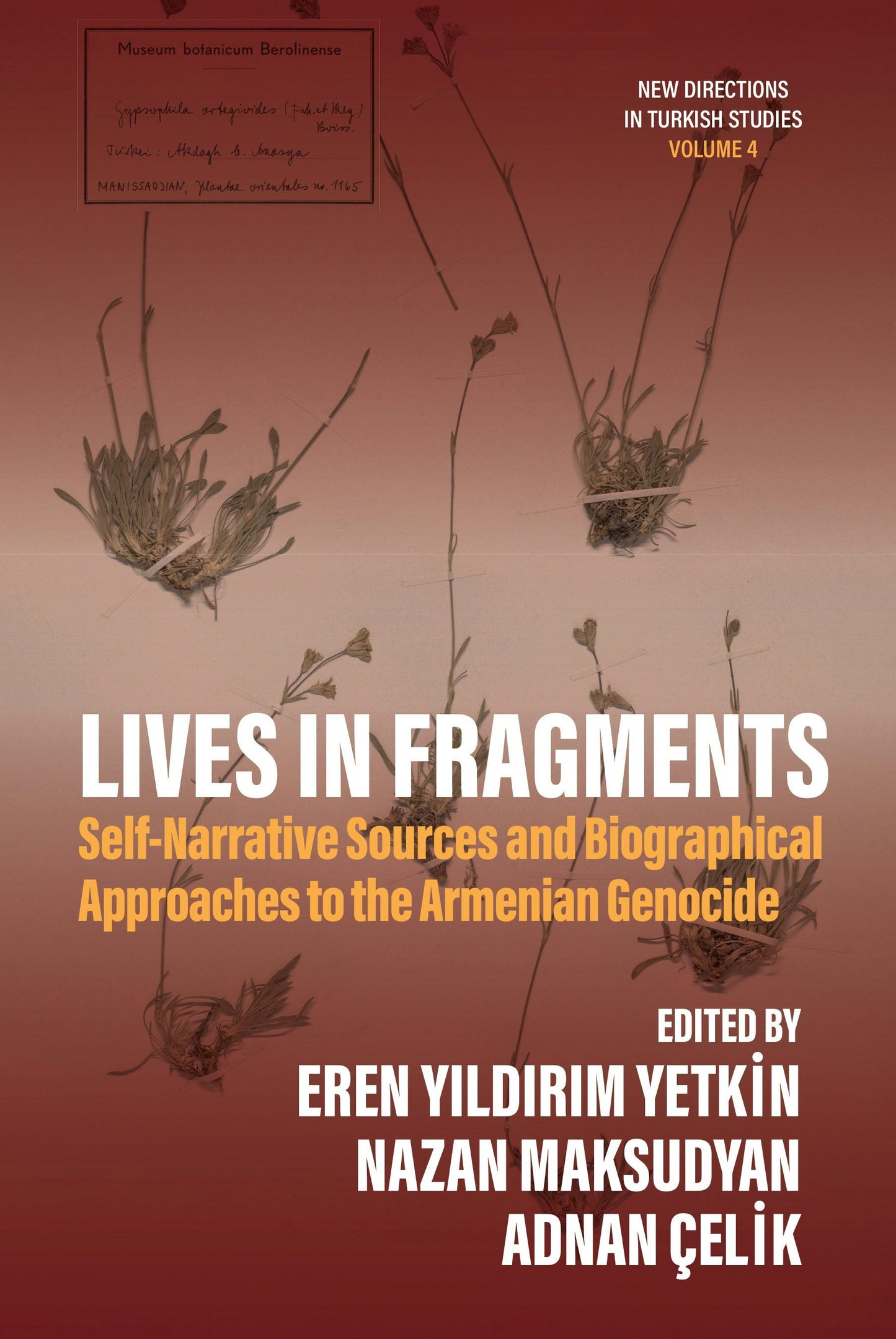 Book cover image for Lives in Fragments ISBN: 9781836953333