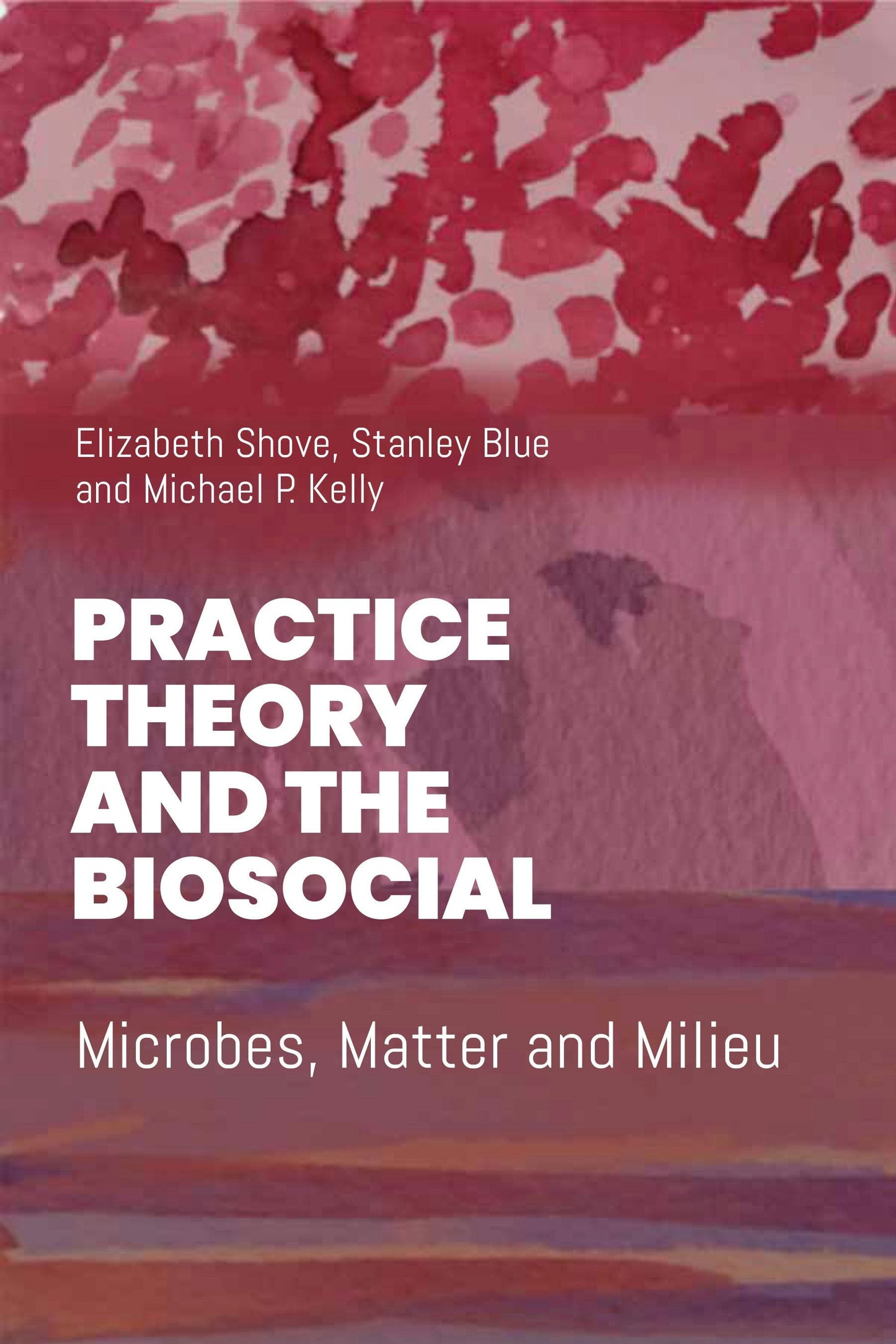 Book cover image for Practice Theory and the Biosocial ISBN: 9781836953395