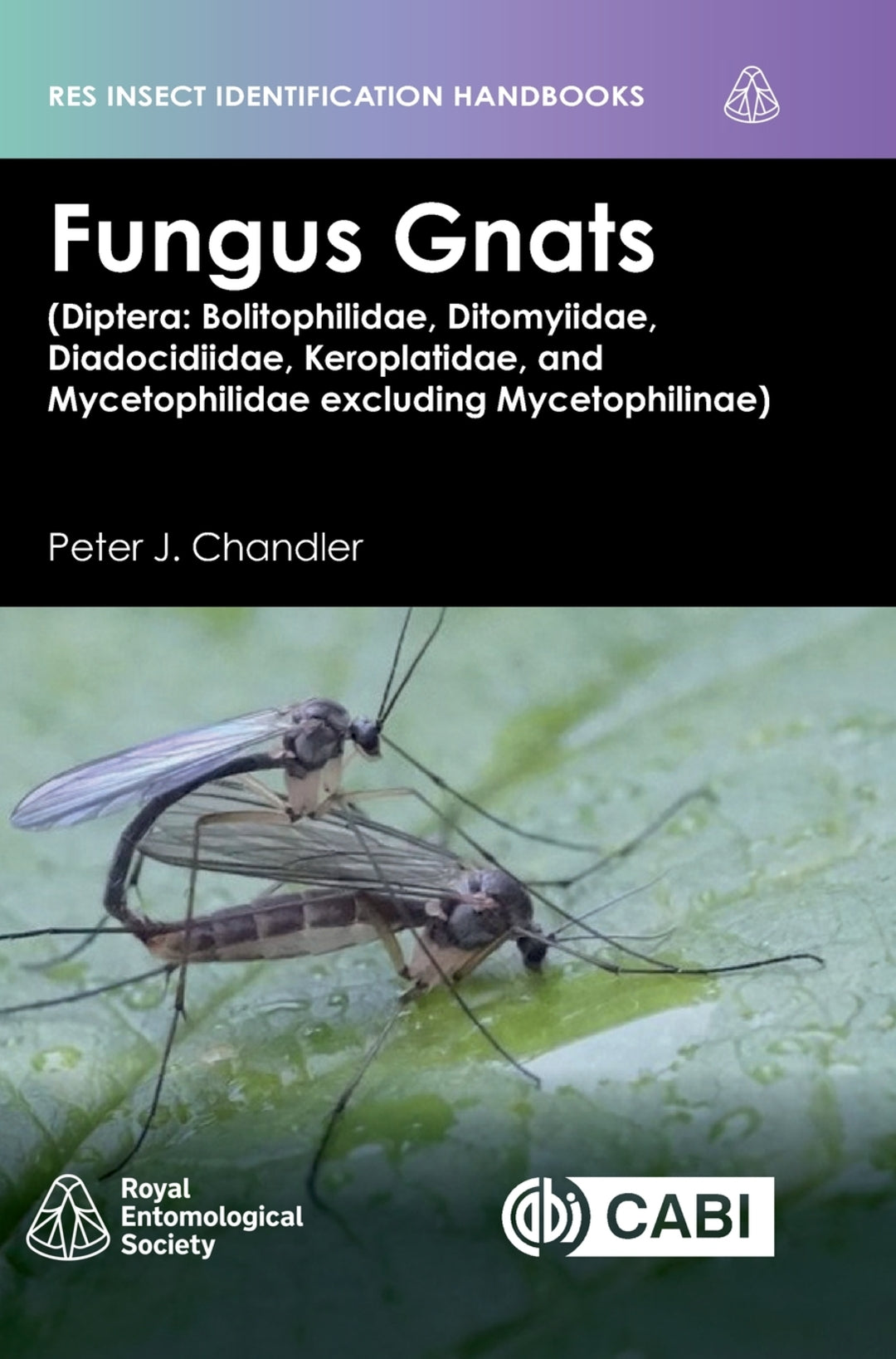 Fungus Gnats (Diptera: Bolitophilidae, Ditomyiidae, Diadocidiidae, Keroplatidae, and Mycetophilidae excluding Mycetophilinae)