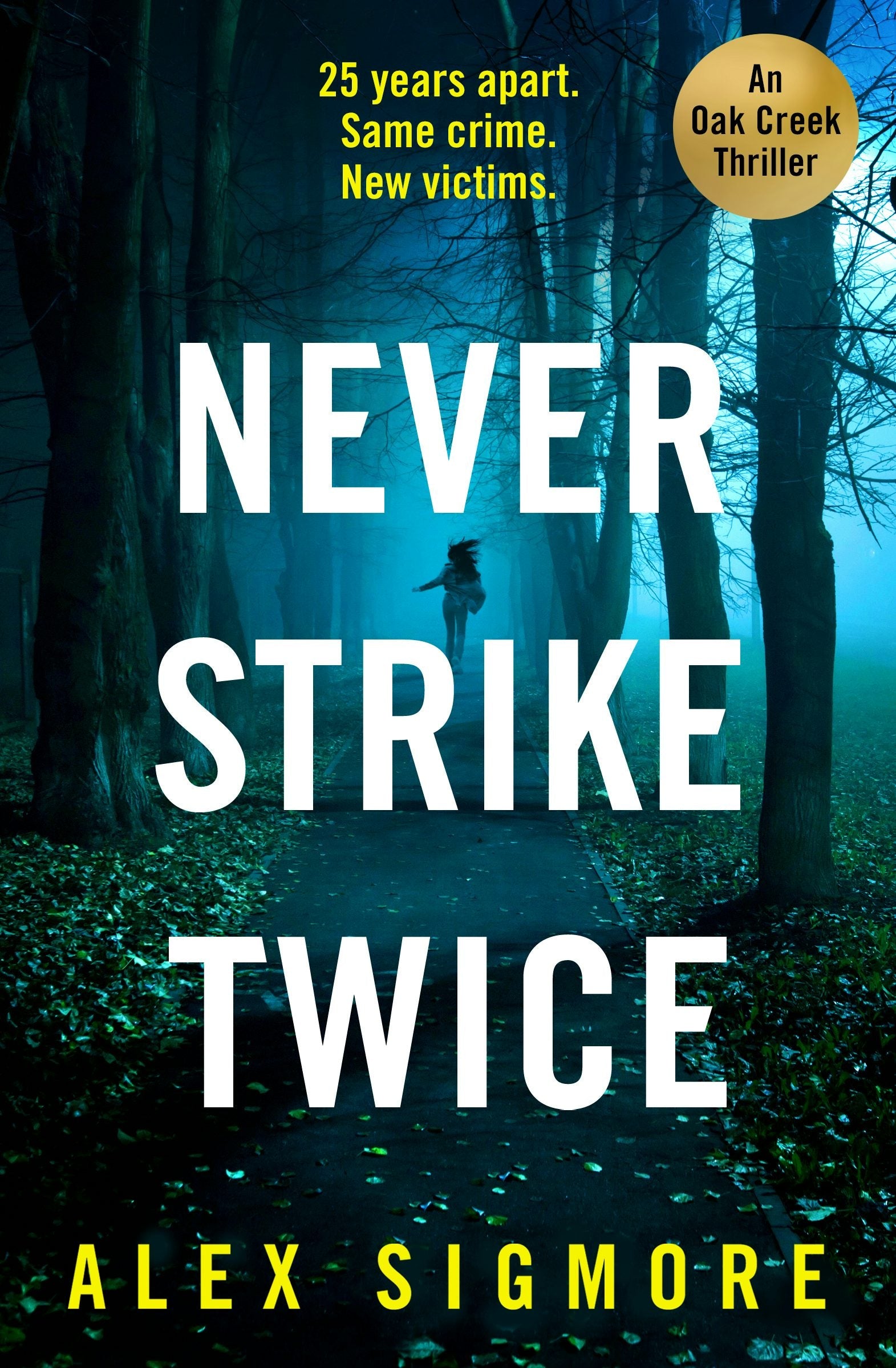 Book cover image for Never Strike Twice ISBN: 9781837000098