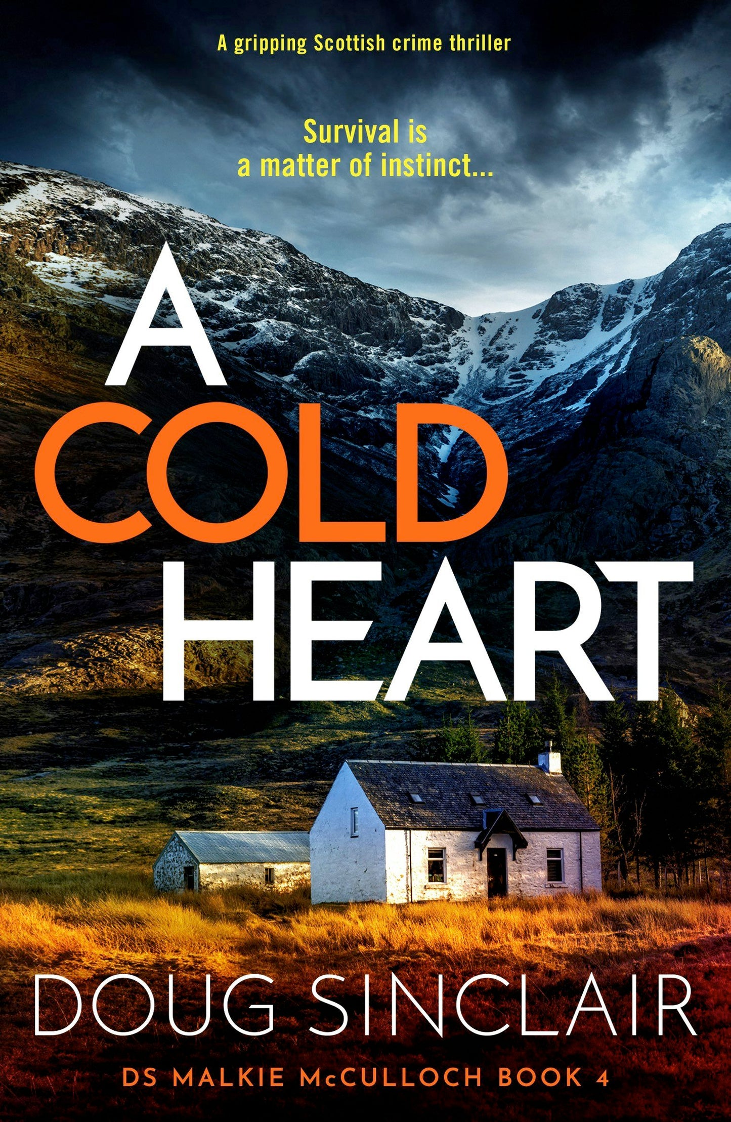 Book cover image for A Cold Heart ISBN: 9781837000333