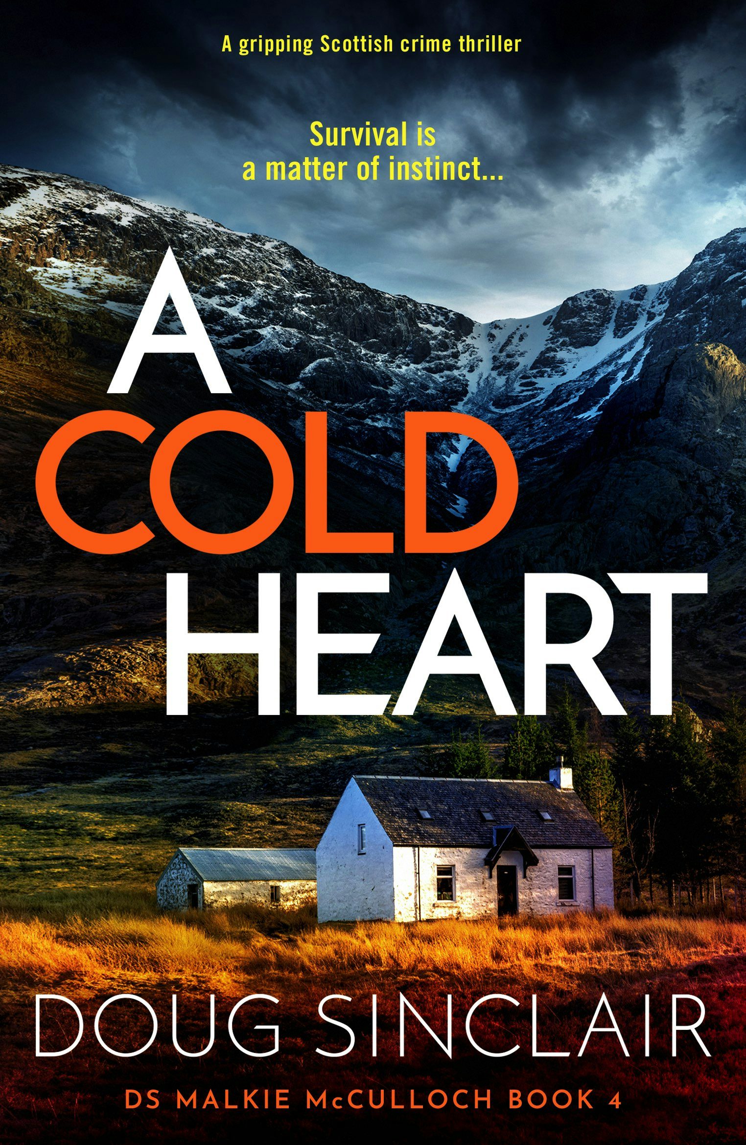 Book cover image for A Cold Heart ISBN: 9781837000333