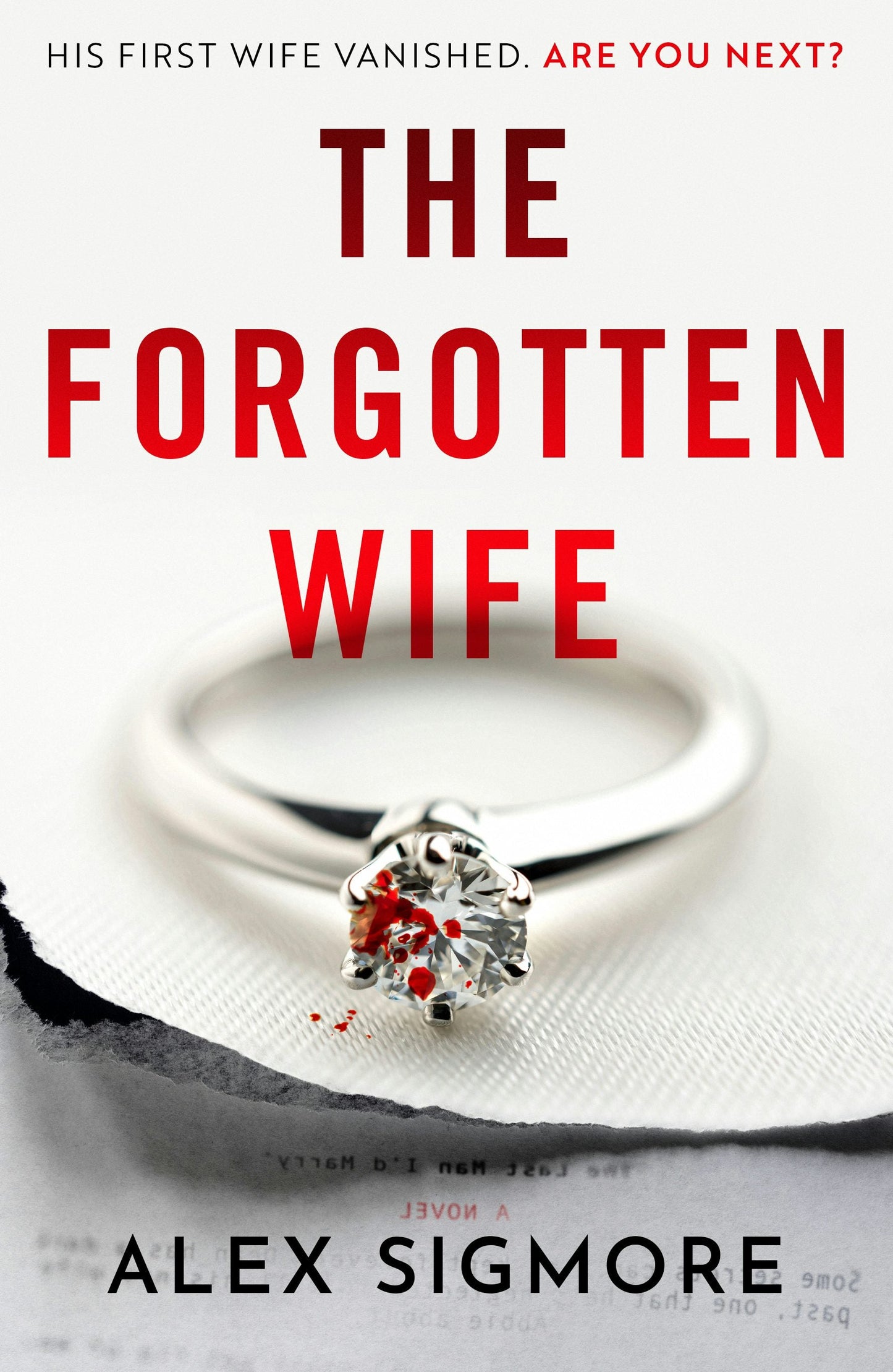 Book cover image for The Forgotten Wife ISBN: 9781837002627