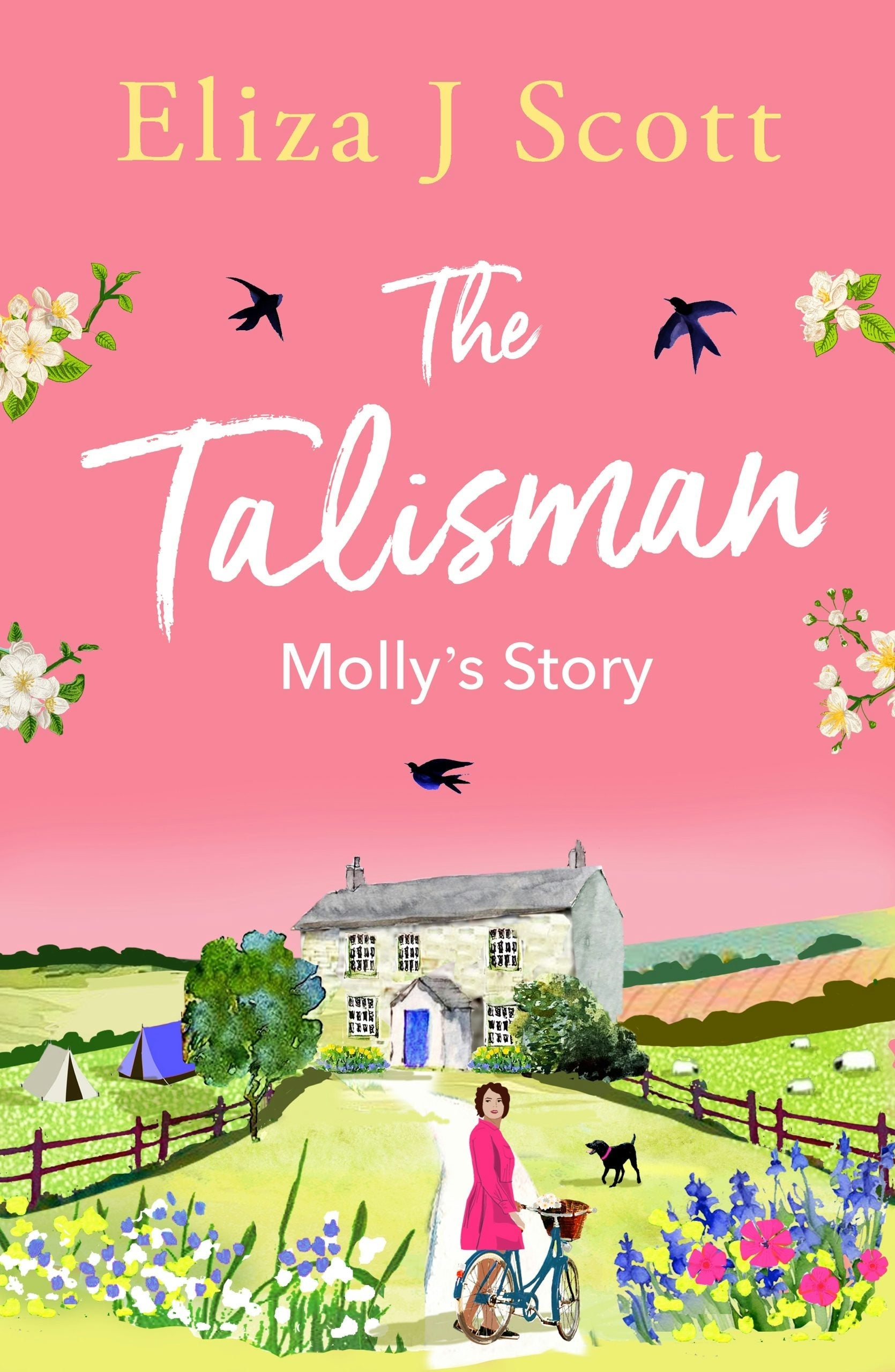 Book cover image for The Talisman - Molly’s Story ISBN: 9781837003488