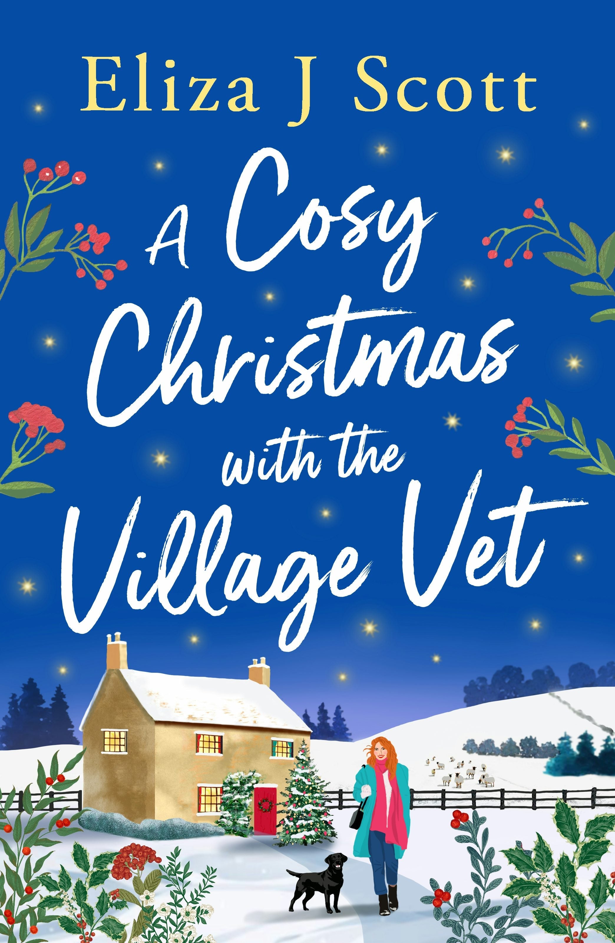Book cover image for A Cosy Christmas with the Village Vet ISBN: 9781837003723