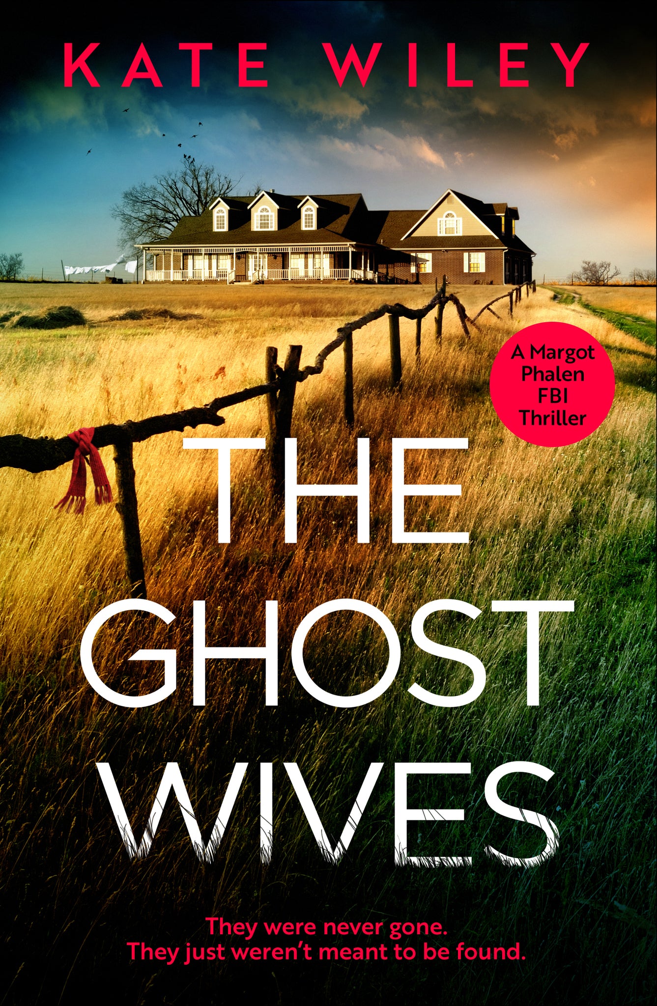 Cover image for The Ghost Wives ISBN 9781837007752