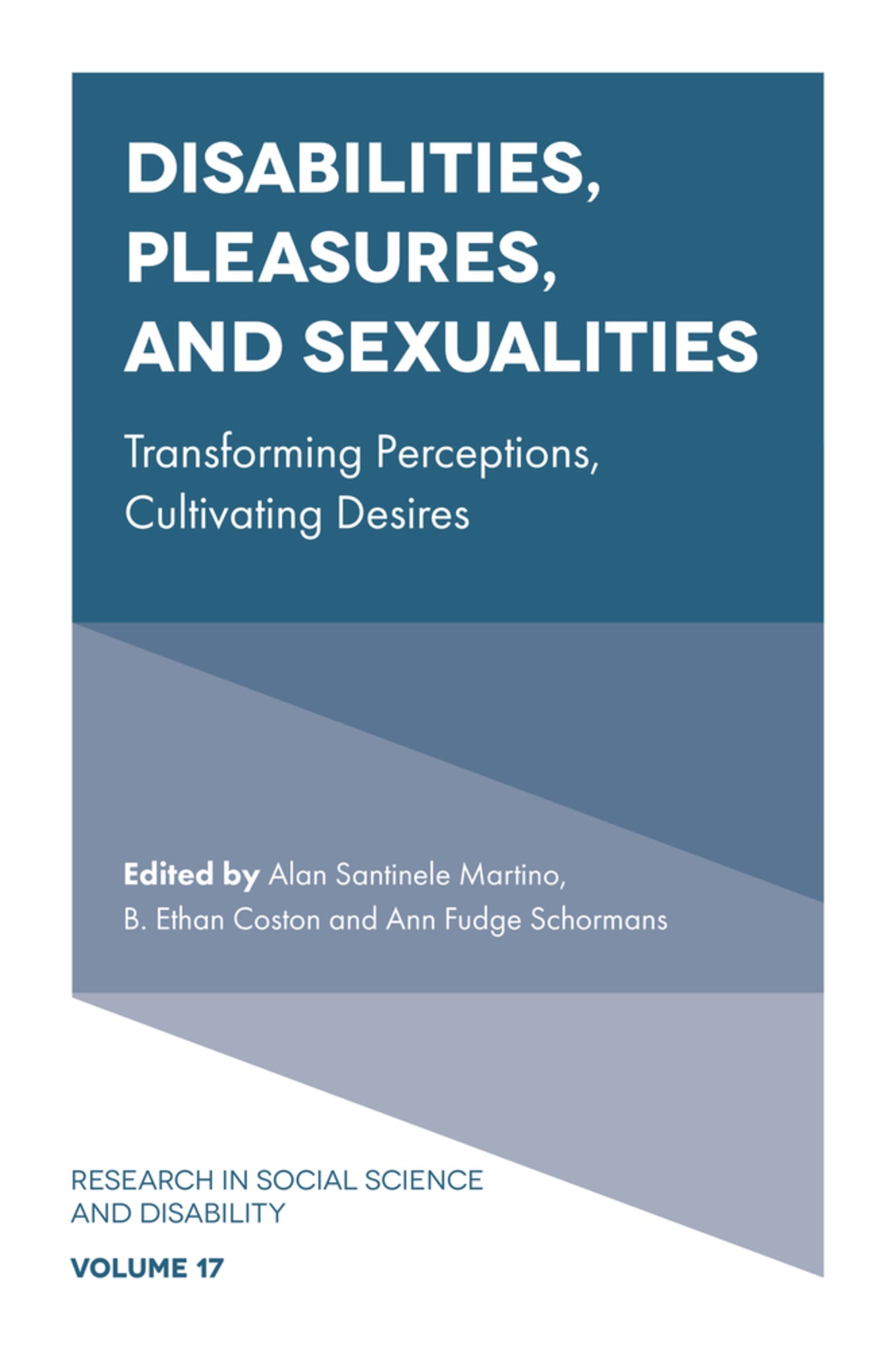 Cover image for Disabilities, Pleasures, and Sexualities ISBN 9781837081219