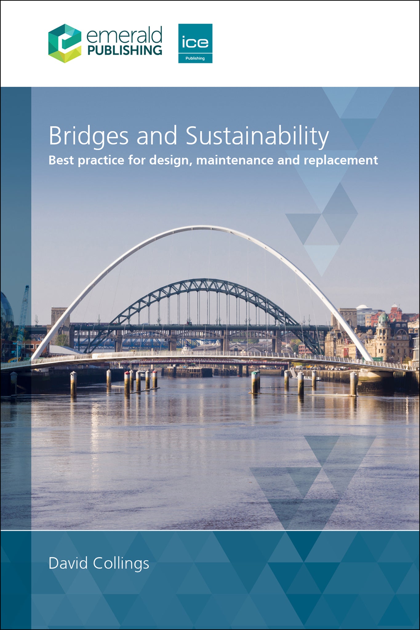 Cover image for Bridges and Sustainability ISBN 9781837084210