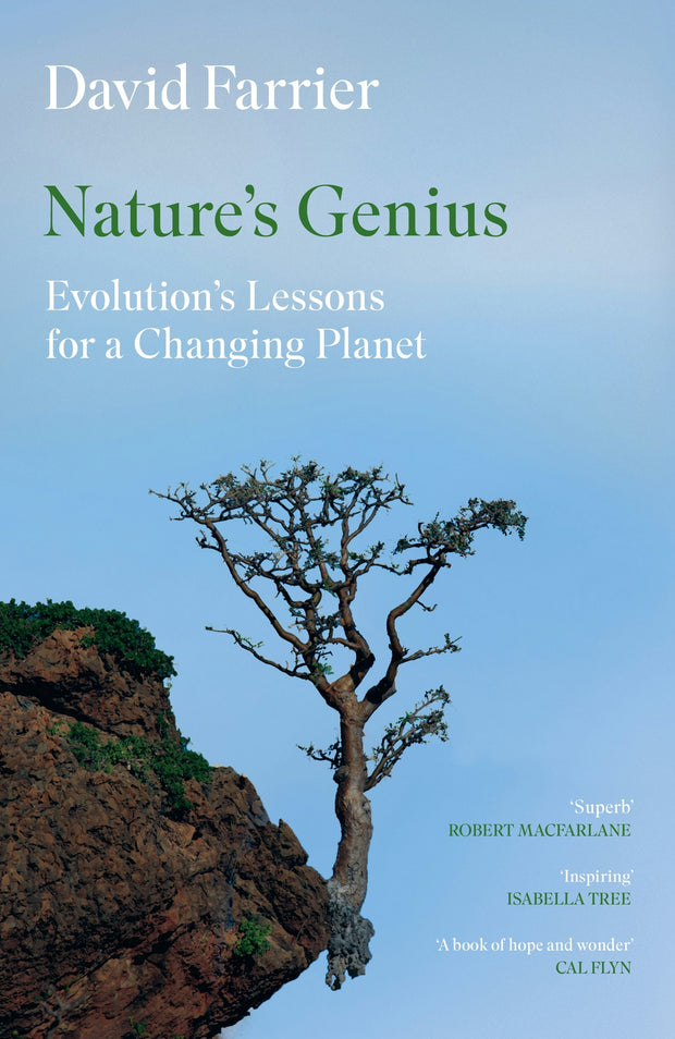 Cover image for Nature's Genius, isbn: 9781837260539