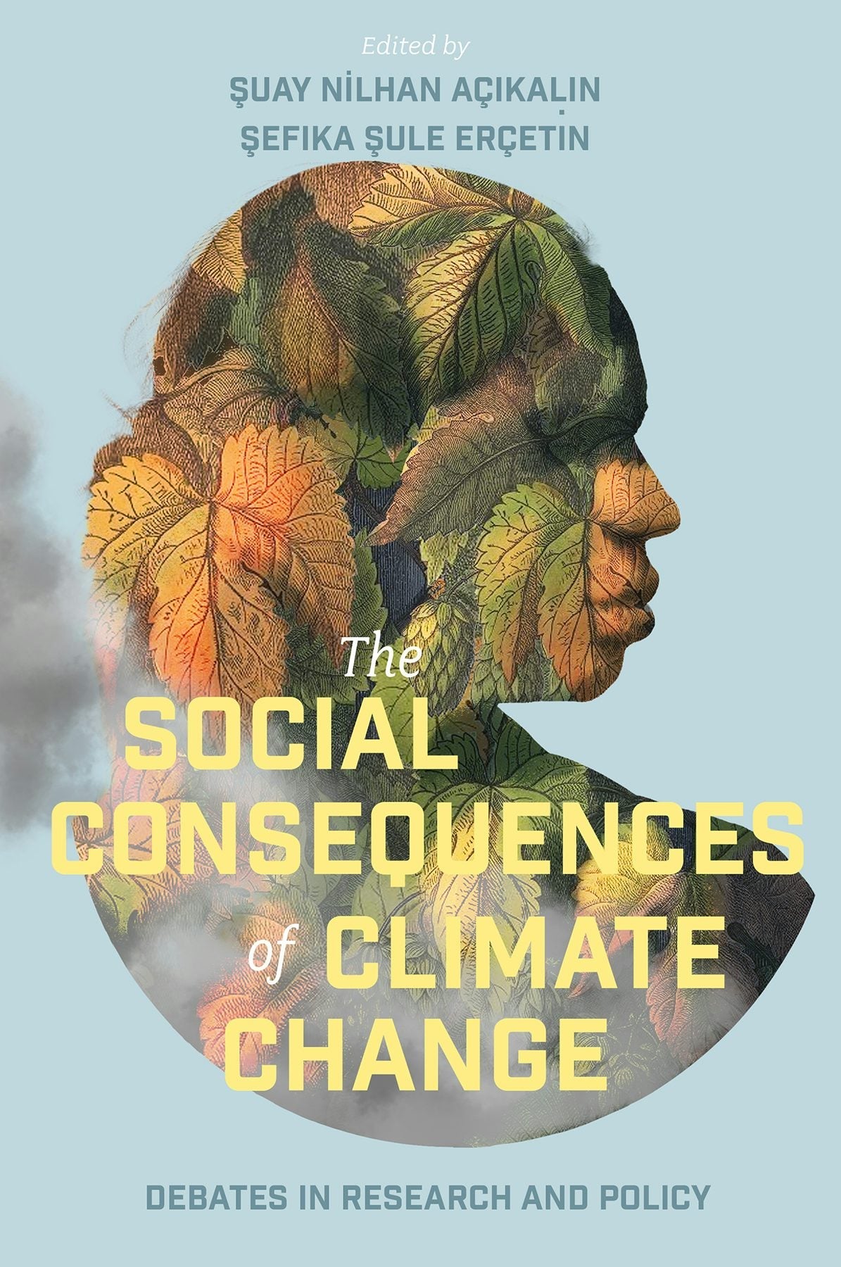 Book cover image for The Social Consequences of Climate Change ISBN: 9781837976782