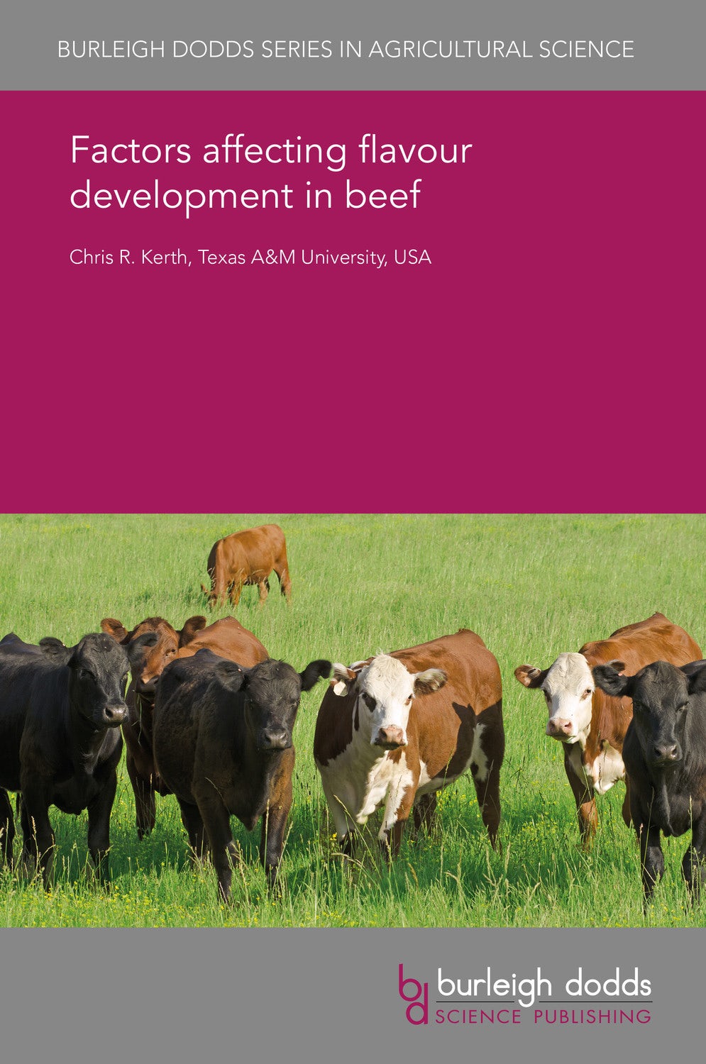Book cover image for Factors affecting flavour development in beef ISBN: 9781838790431