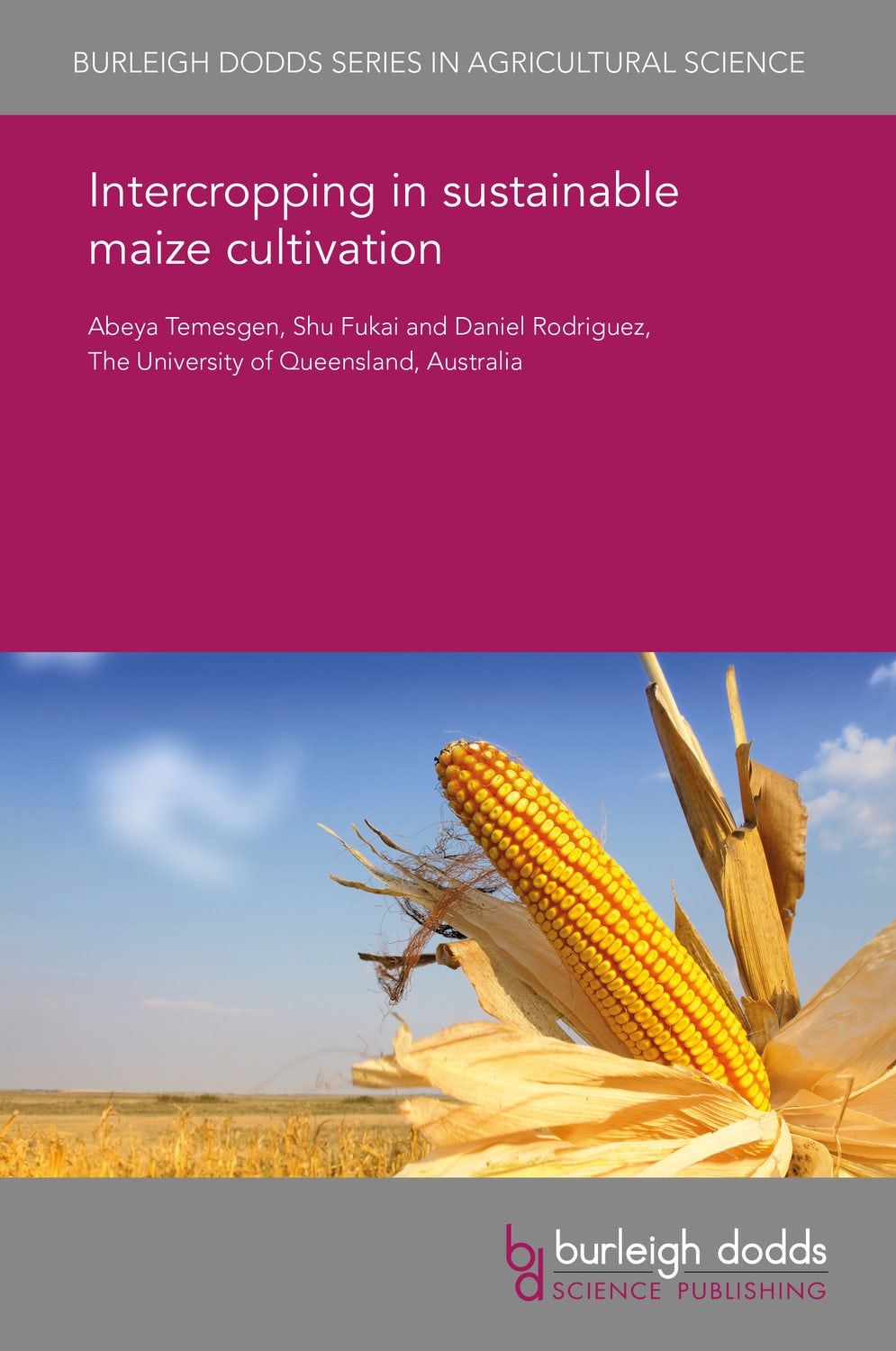 Intercropping in sustainable maize cultivation