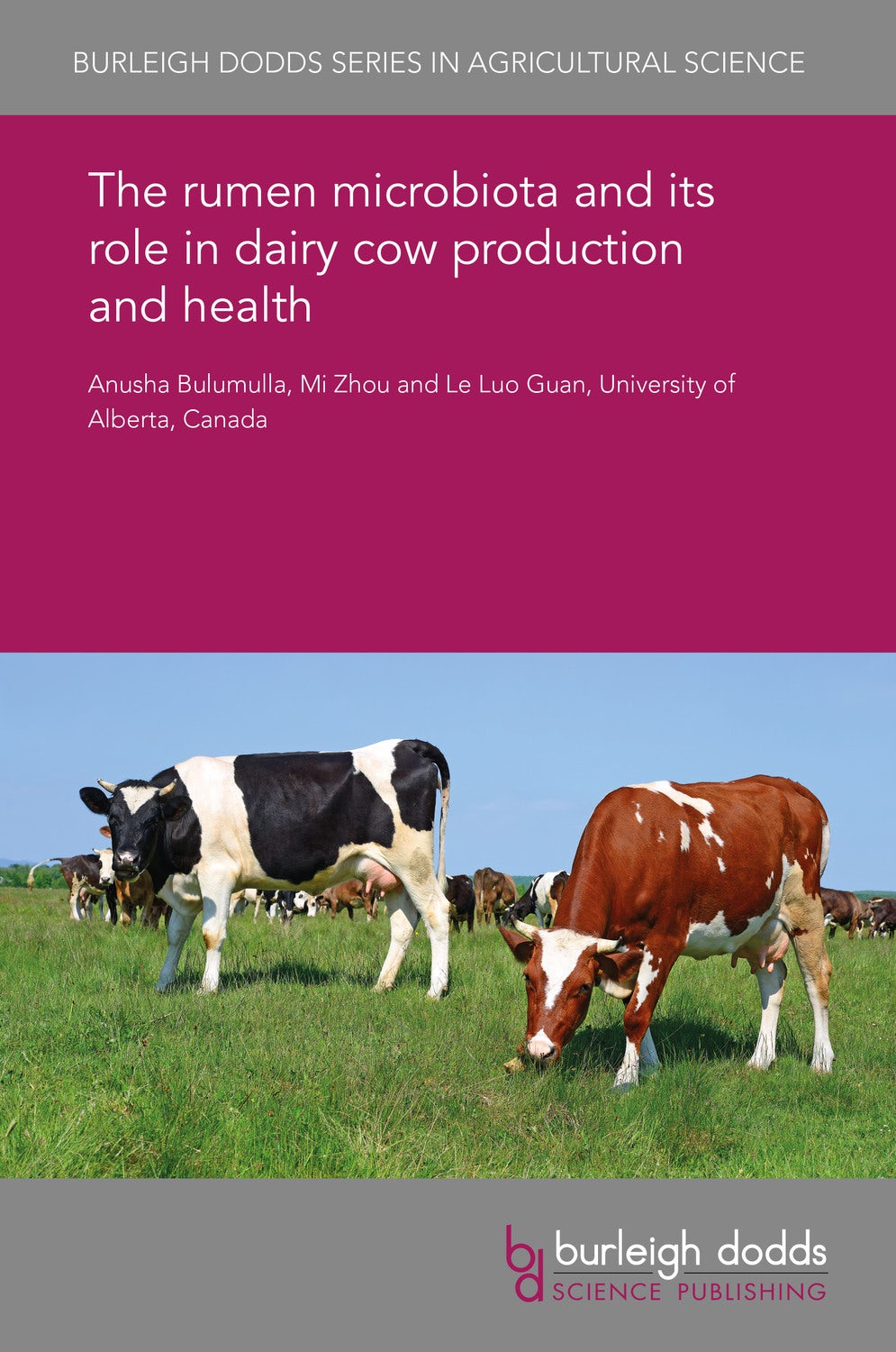 Book cover image for The rumen microbiota and its role in dairy cow production and health ISBN: 9781838791643