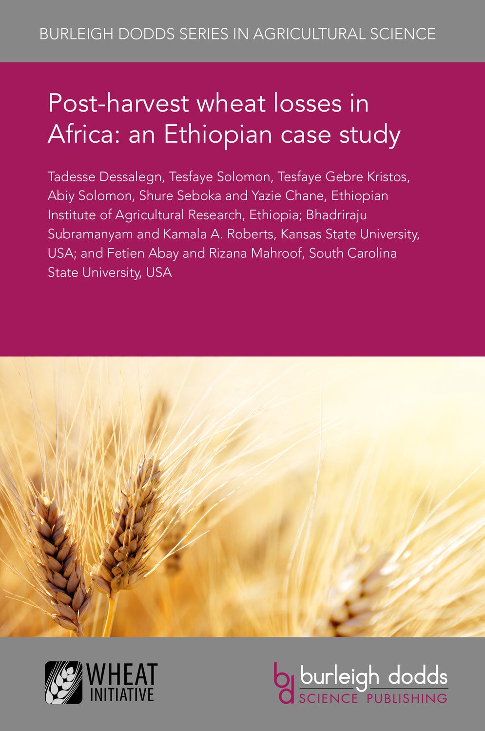 Book cover image for Post-harvest wheat losses in Africa: an Ethiopian case study ISBN: 9781838793074