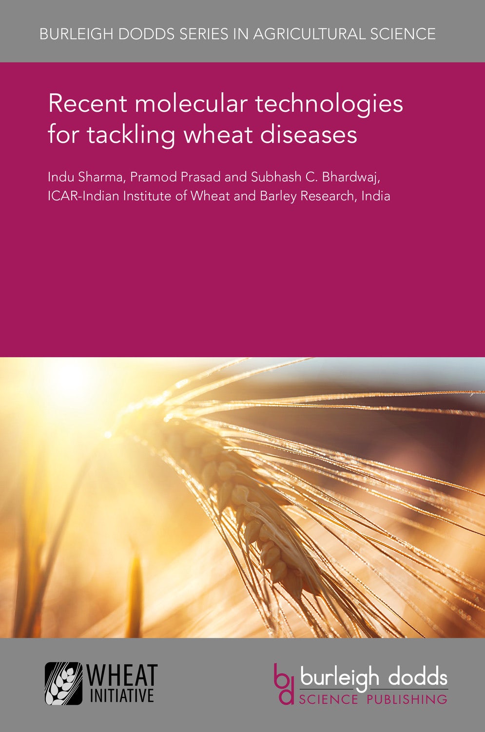 Book cover image for Recent molecular technologies for tackling wheat diseases ISBN: 9781838793241