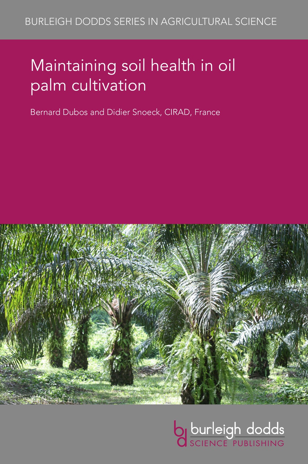 Book cover image for Maintaining soil health in oil palm cultivation ISBN: 9781838794866