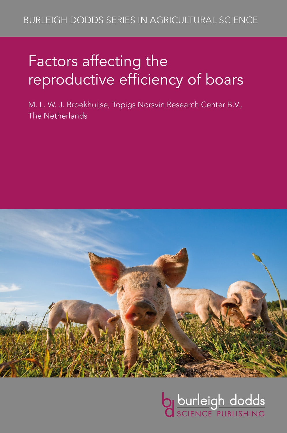 Book cover image for Factors affecting the reproductive efficiency of boars ISBN: 9781838795269