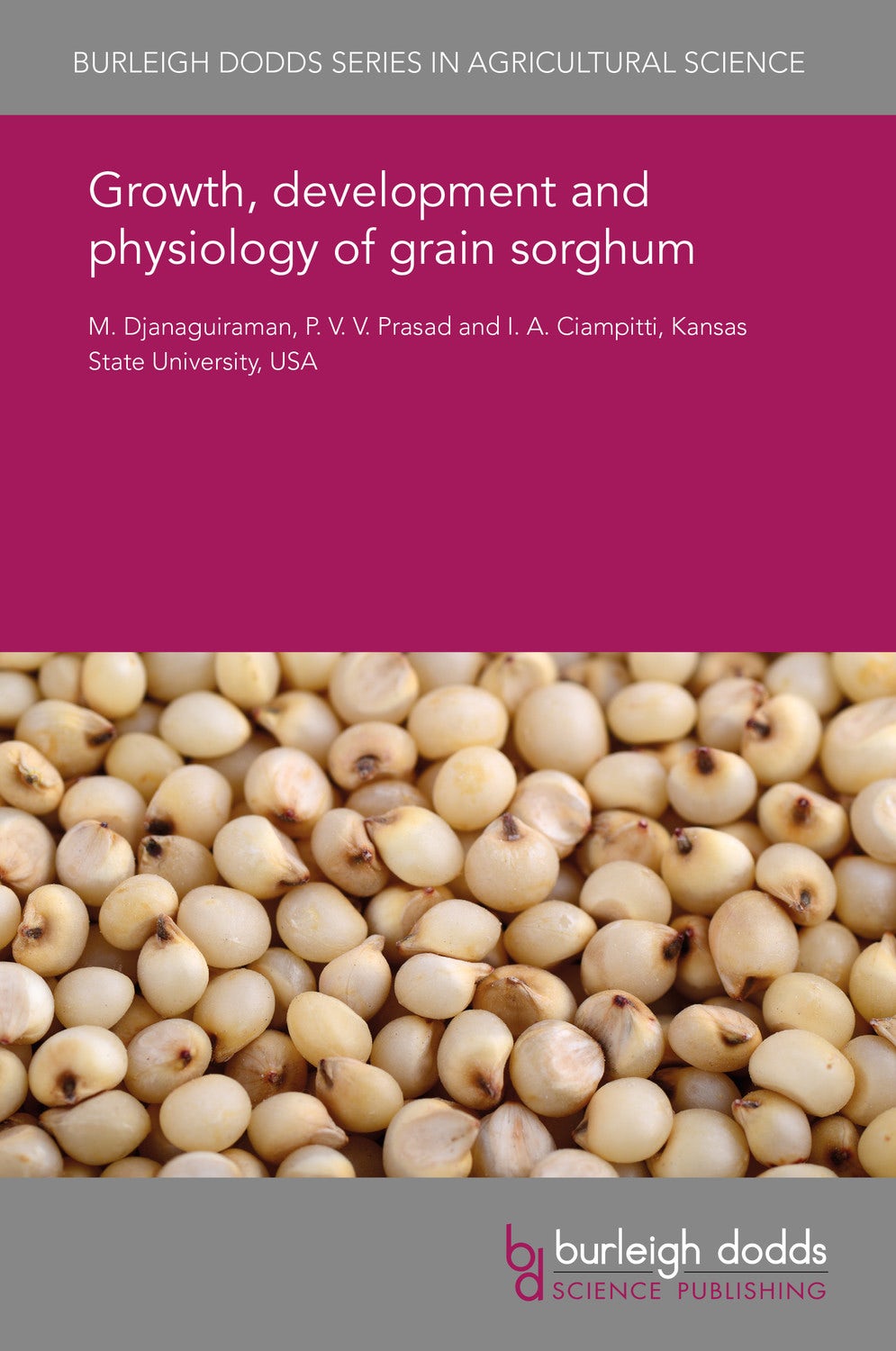 Book cover image for Growth, development and physiology of grain sorghum ISBN: 9781838795306