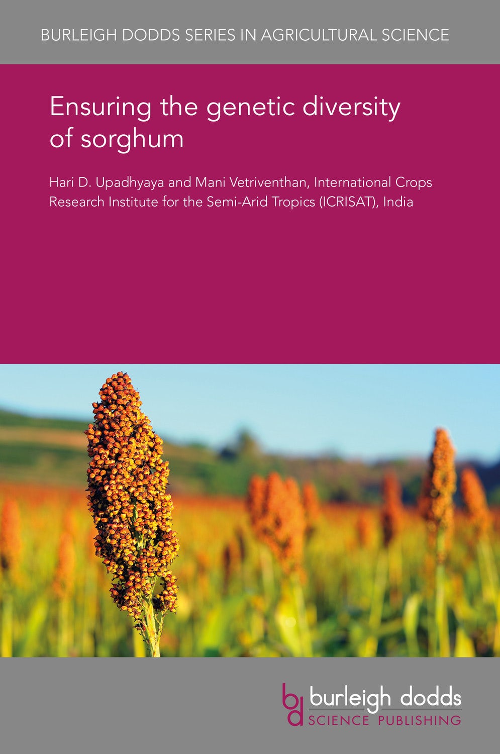 Book cover image for Ensuring the genetic diversity of sorghum ISBN: 9781838795320