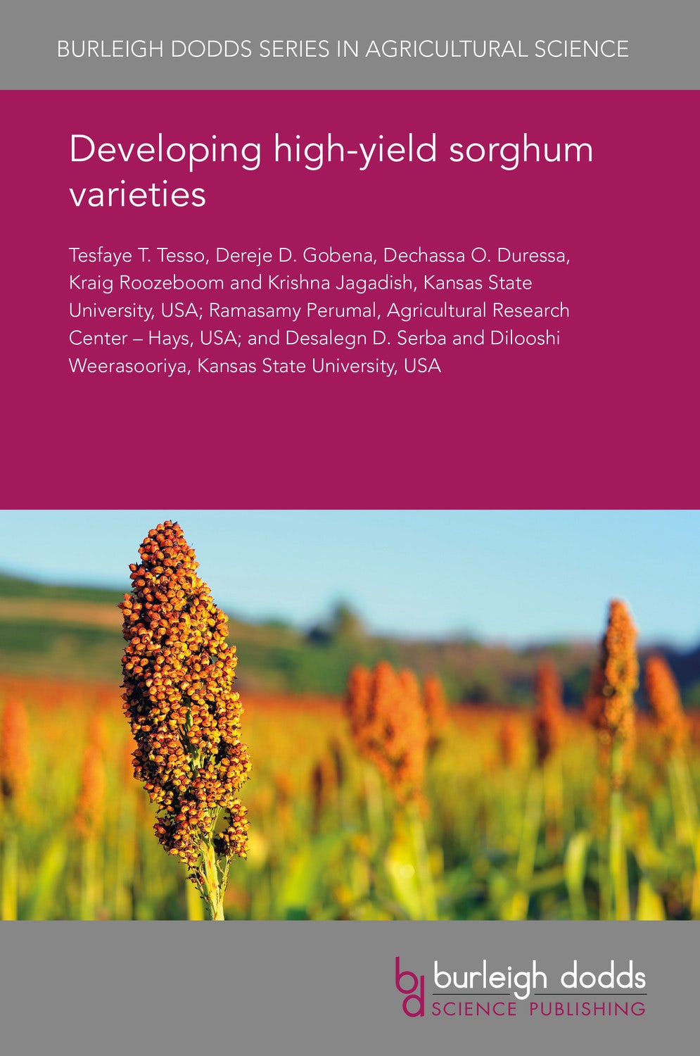 Book cover image for Harnessing genetic and genomic resources to transform the production and productivity of sorghum ISBN: 9781838795351