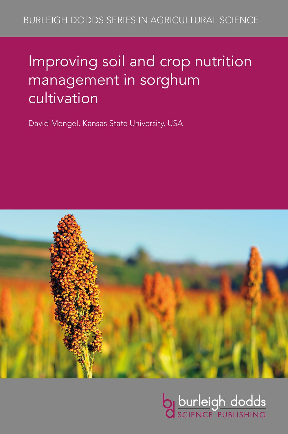 Book cover image for Improving soil and crop nutrition management in sorghum cultivation ISBN: 9781838795405