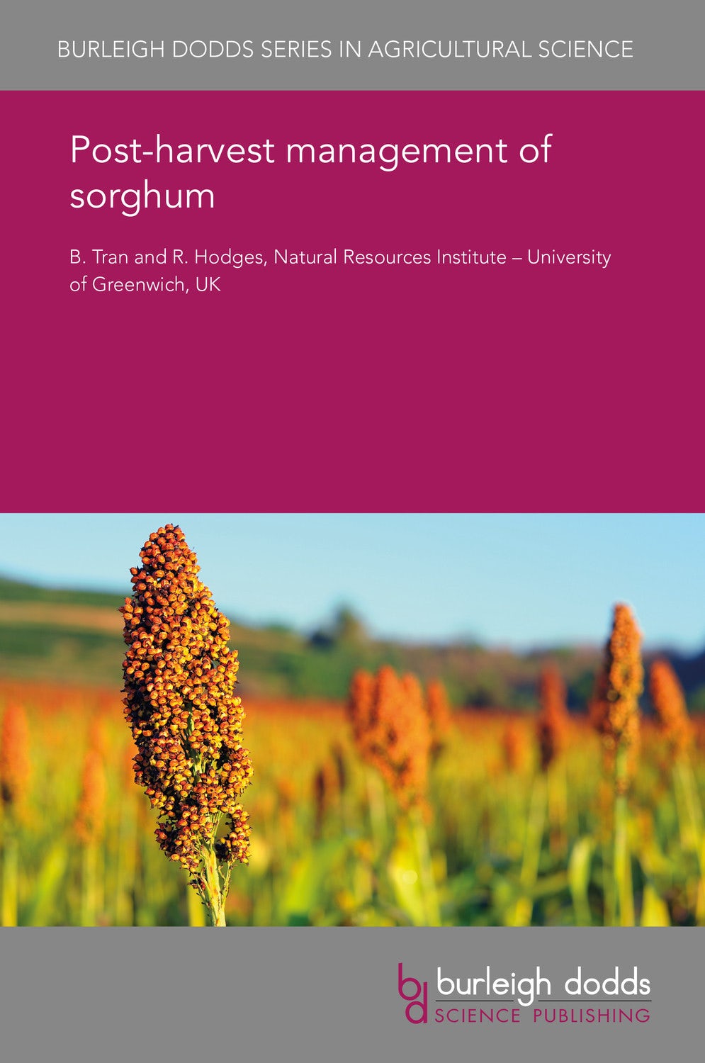 Book cover image for Post-harvest management of sorghum ISBN: 9781838795450