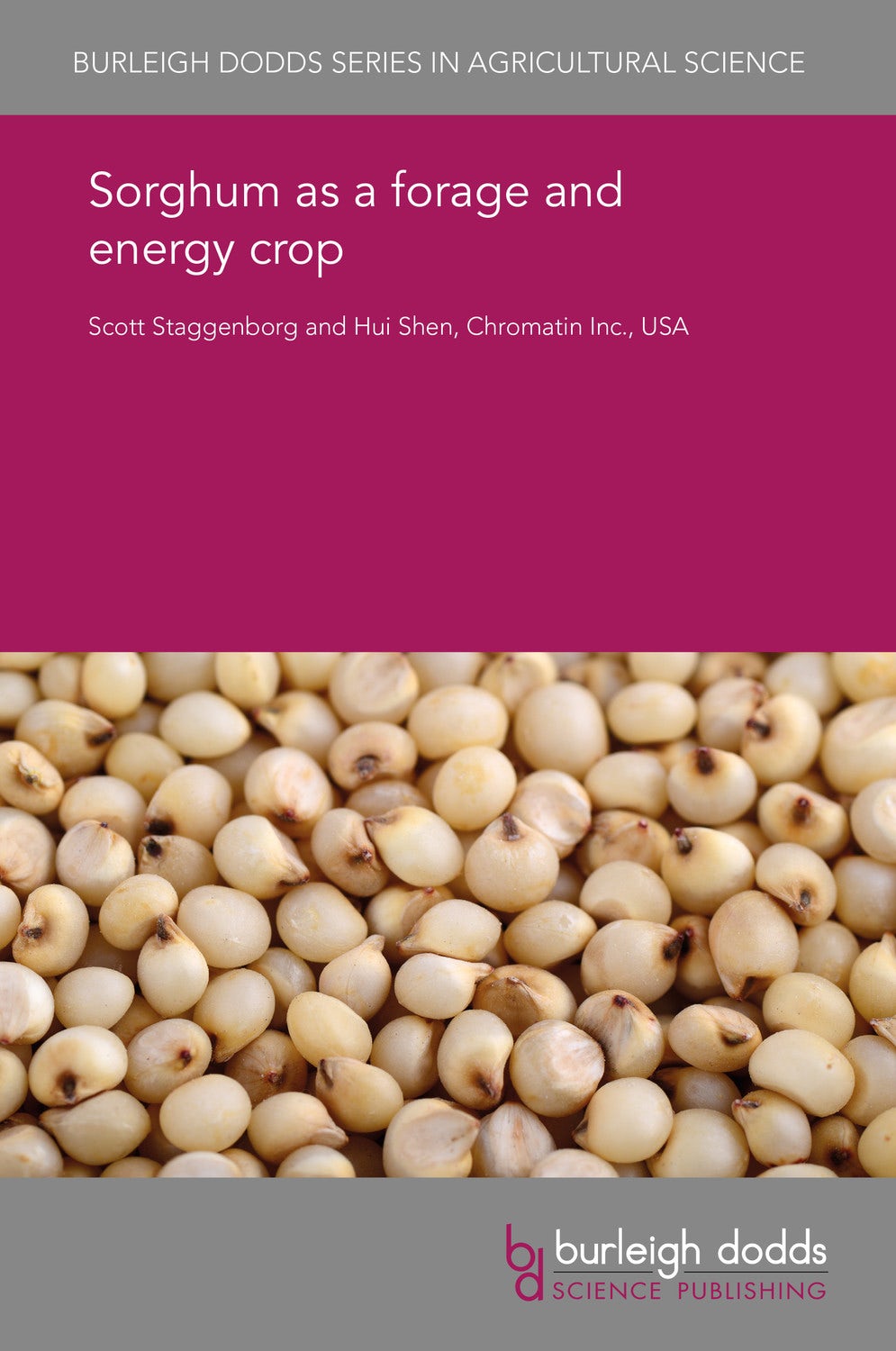 Book cover image for Sorghum as a forage and energy crop ISBN: 9781838795498