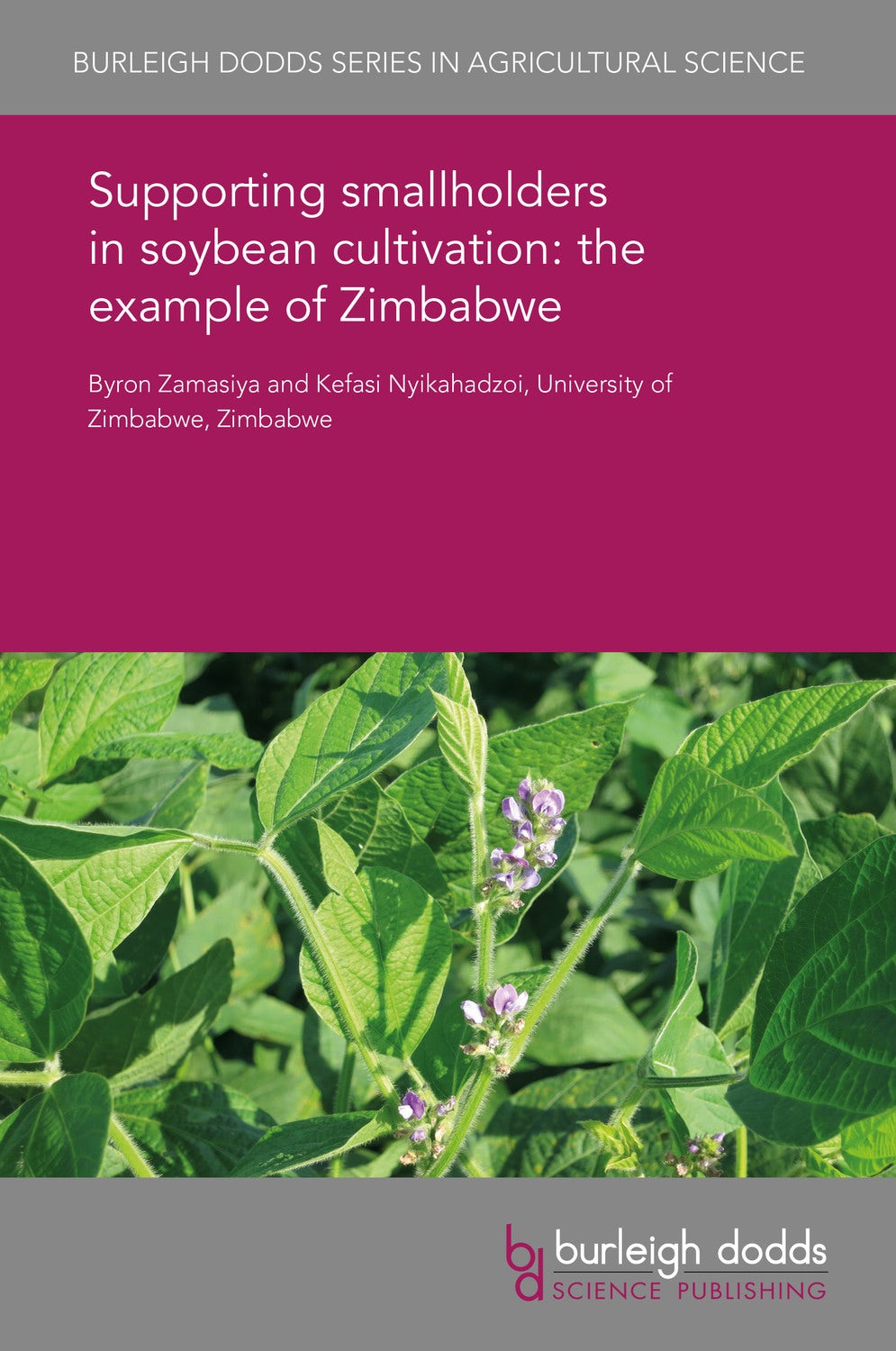 Book cover image for Supporting smallholders in soybean cultivation: the example of Zimbabwe ISBN: 9781838795665