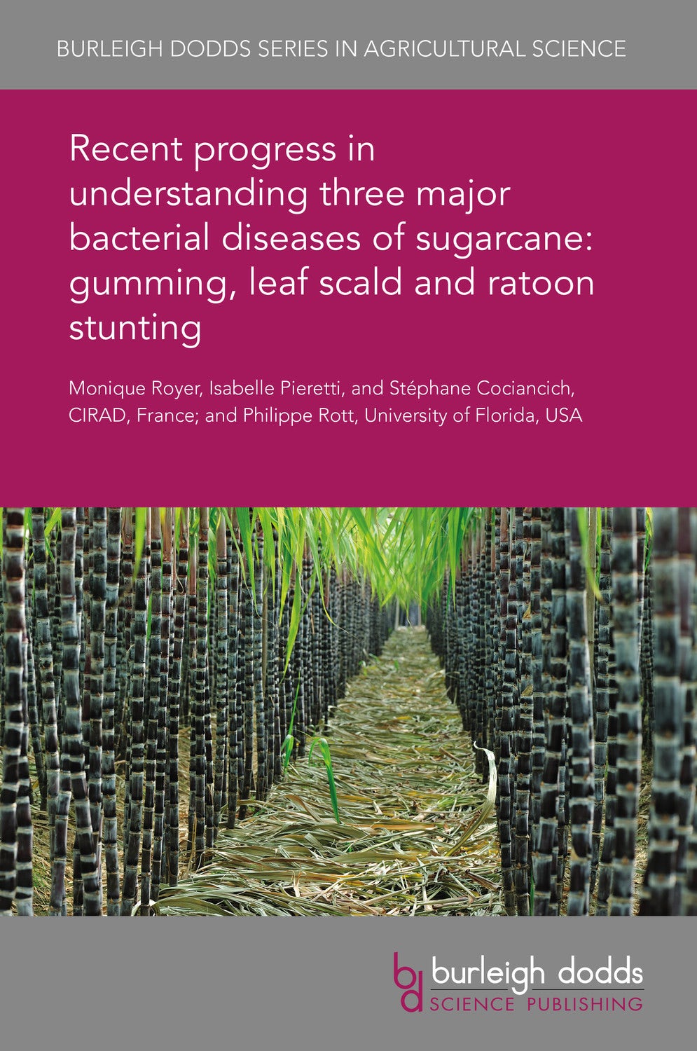 Book cover image for Recent progress in understanding three major bacterial diseases of sugarcane: gumming, leaf scald and ratoon stunting ISBN: 9781838796006