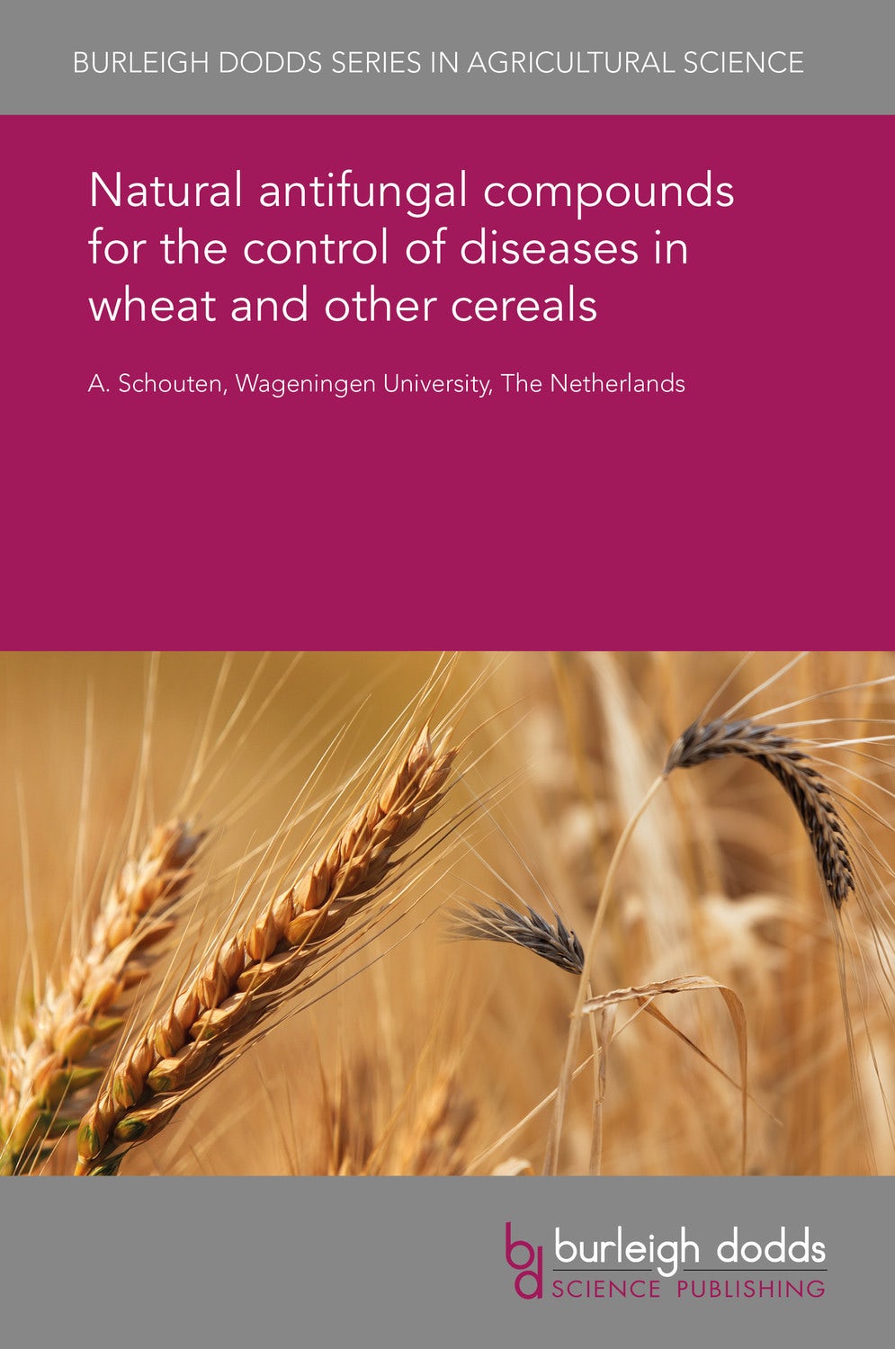 Book cover image for Natural antifungal compounds for the control of diseases in wheat and other cereals ISBN: 9781838797485