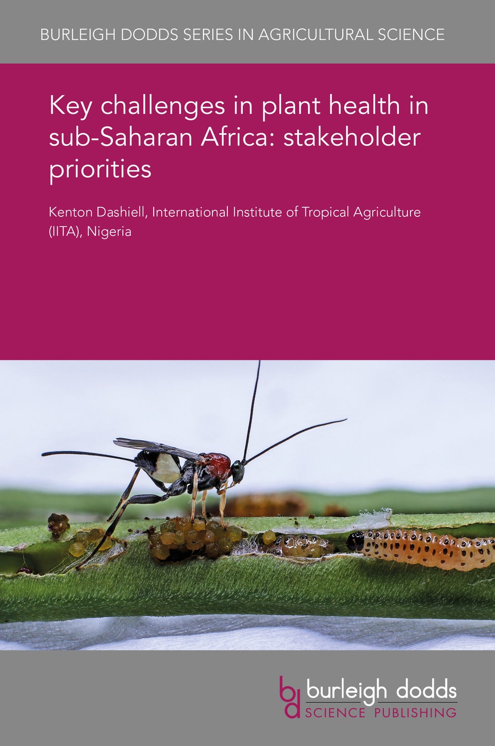 Book cover image for Key challenges in plant health in sub-Saharan Africa: stakeholder priorities ISBN: 9781838797492