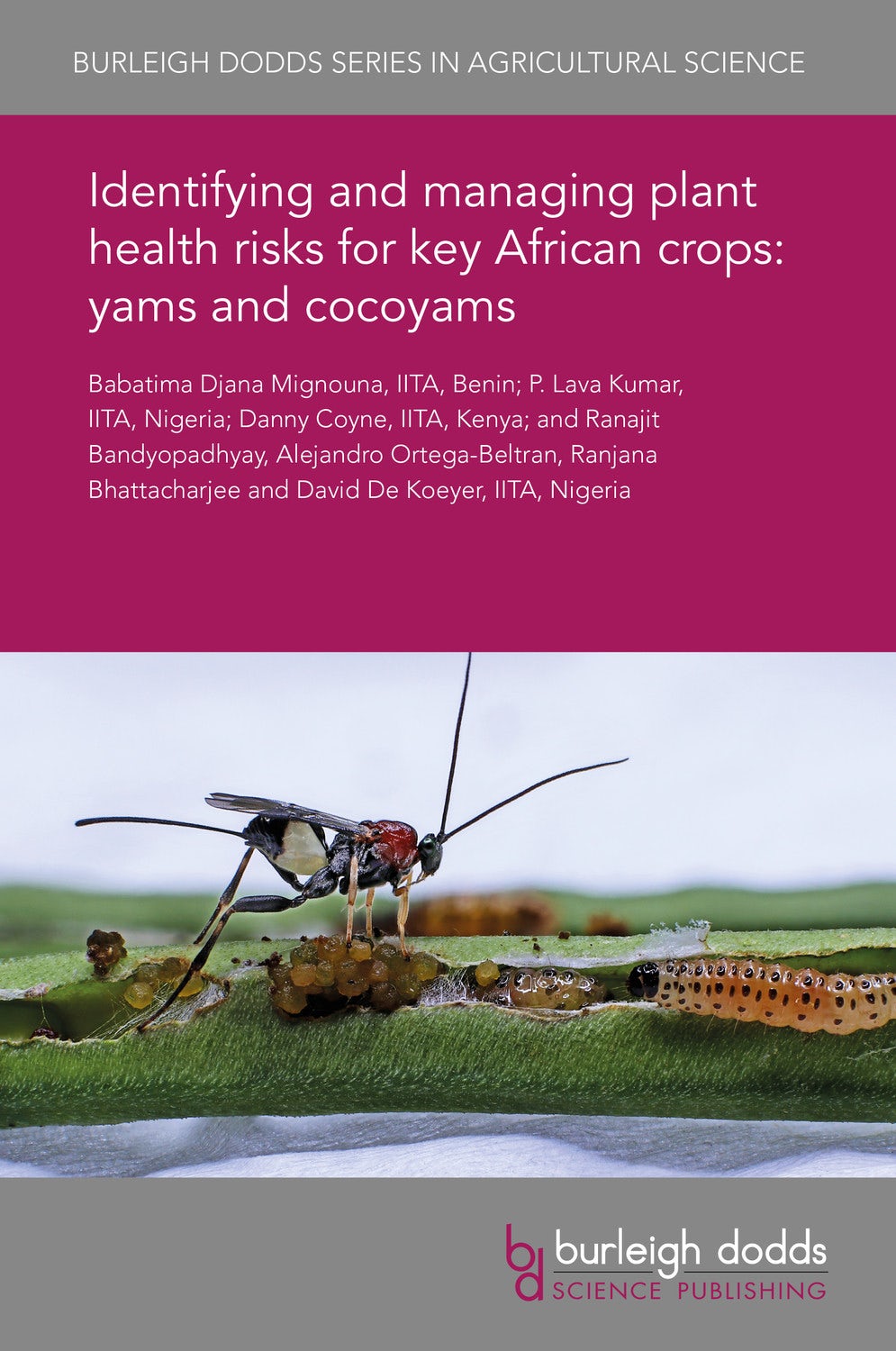 Book cover image for Identifying and managing plant health risks for key African crops: yams and cocoyams ISBN: 9781838797560