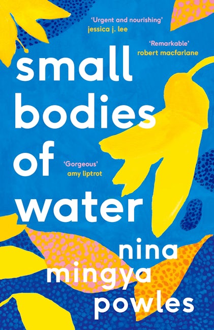 Book cover image for Small Bodies of Water ISBN: 9781838852184