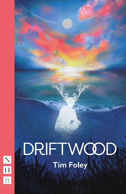 Book cover image for Driftwood ISBN: 9781839042942