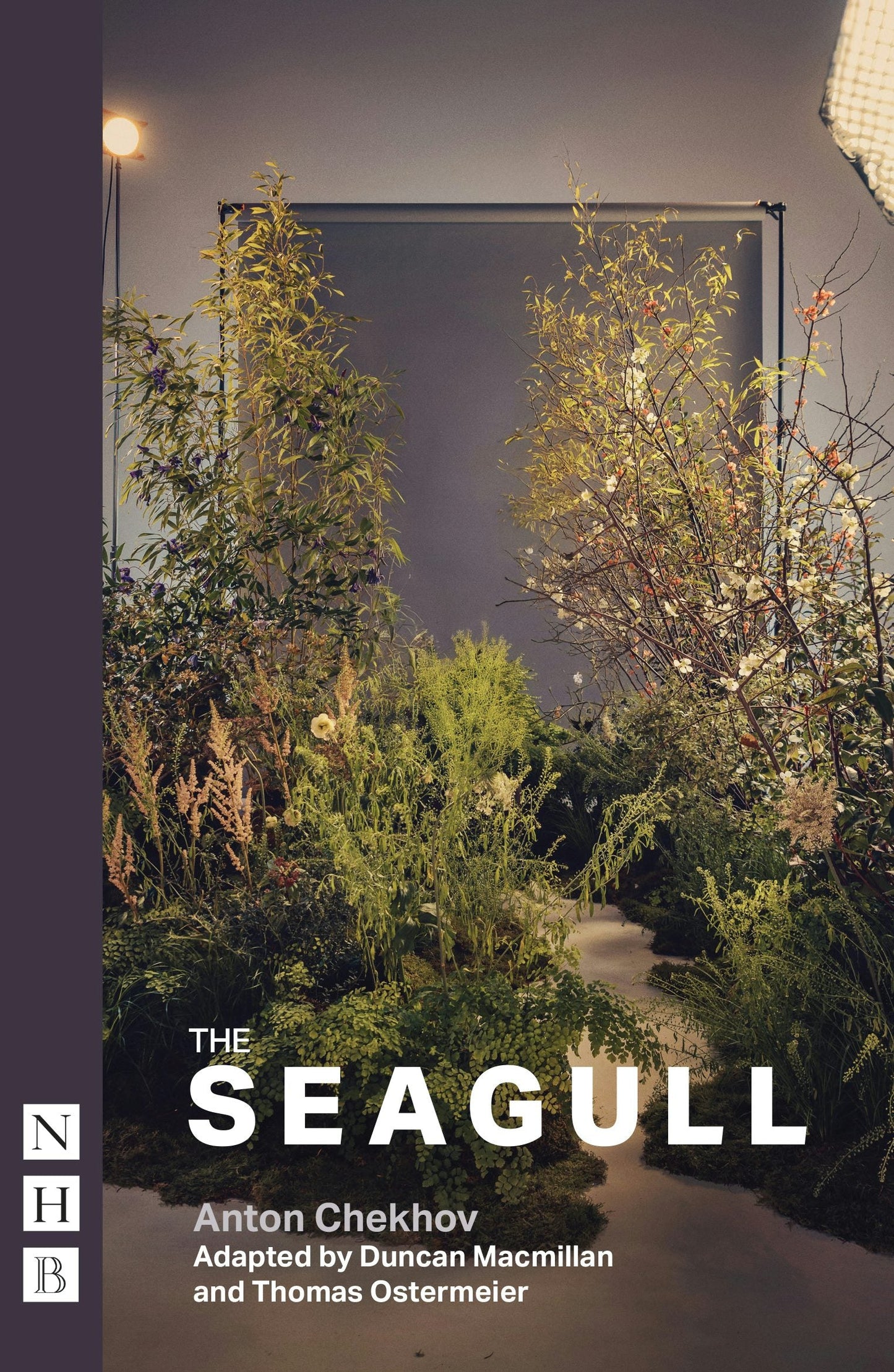 Book cover image for The Seagull ISBN: 9781839044519