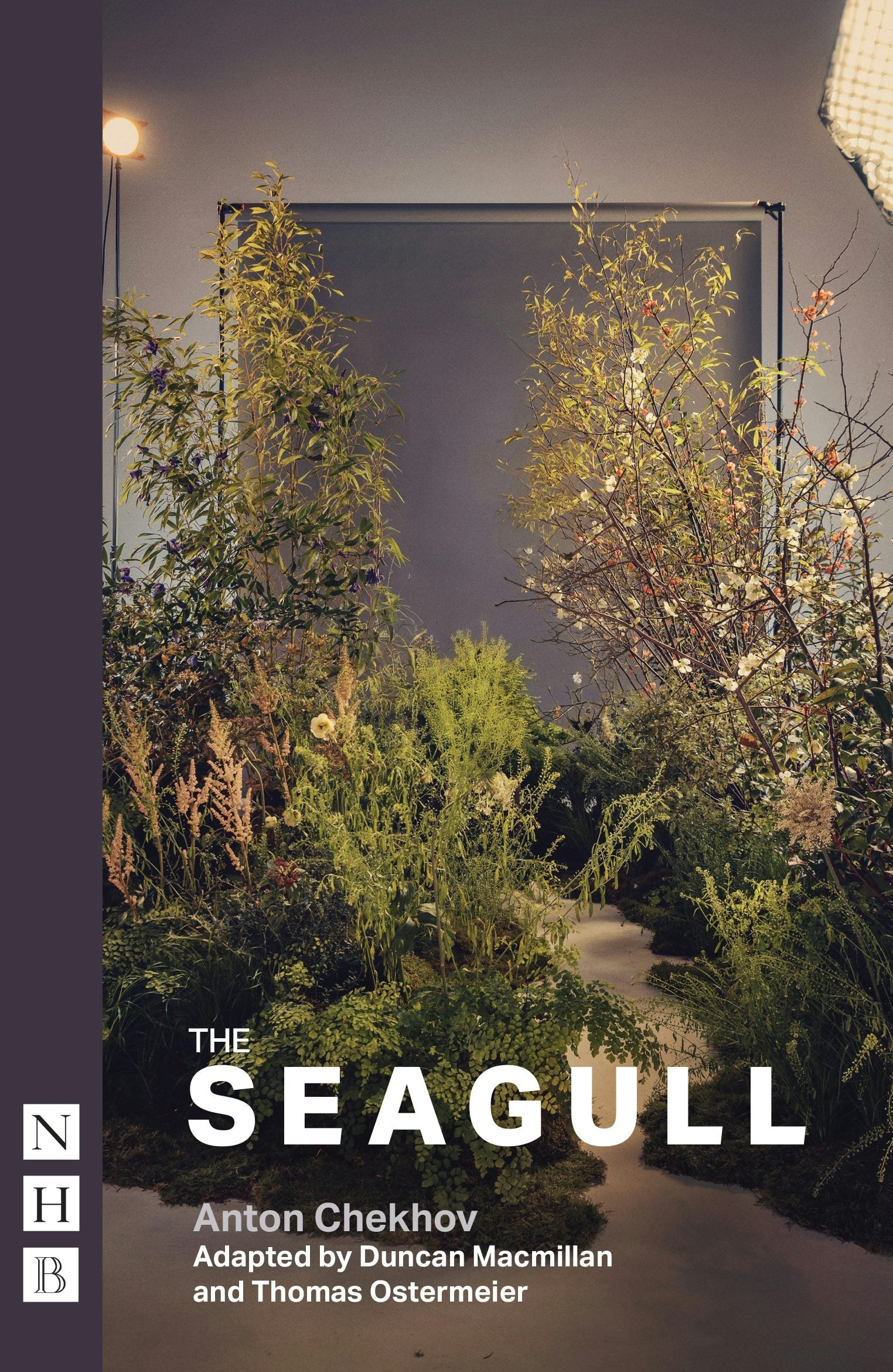 Book cover image for The Seagull ISBN: 9781839044519