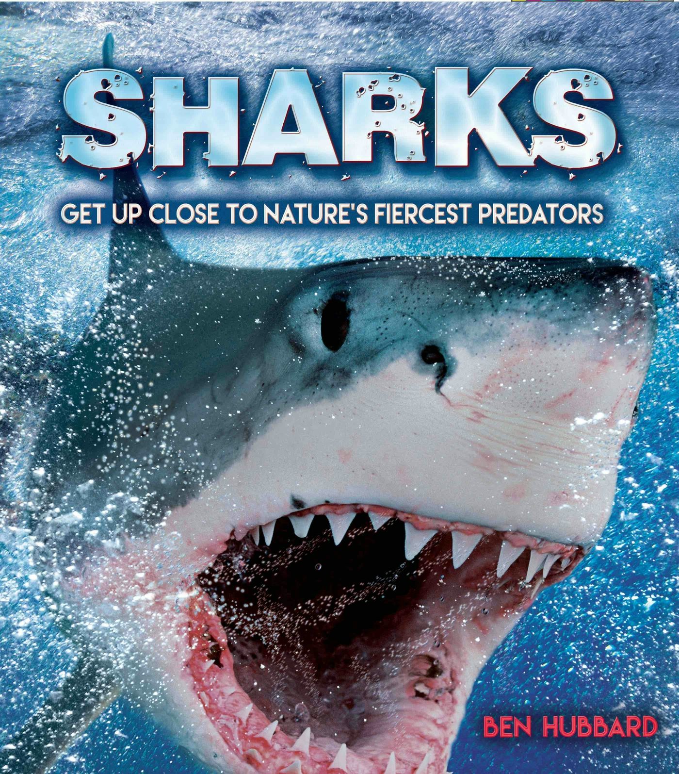 Book cover image for Sharks ISBN: 9781839352652