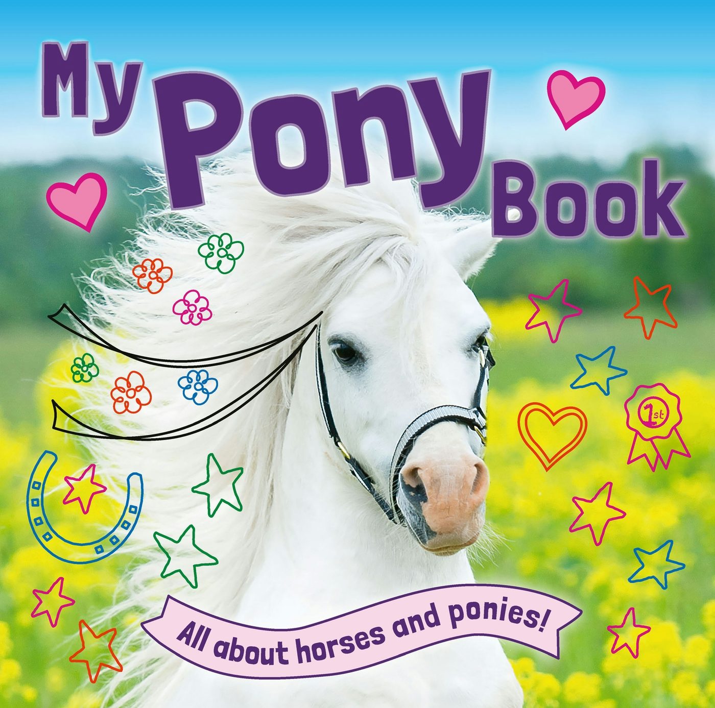 Book cover image for My Pony Book ISBN: 9781839352959